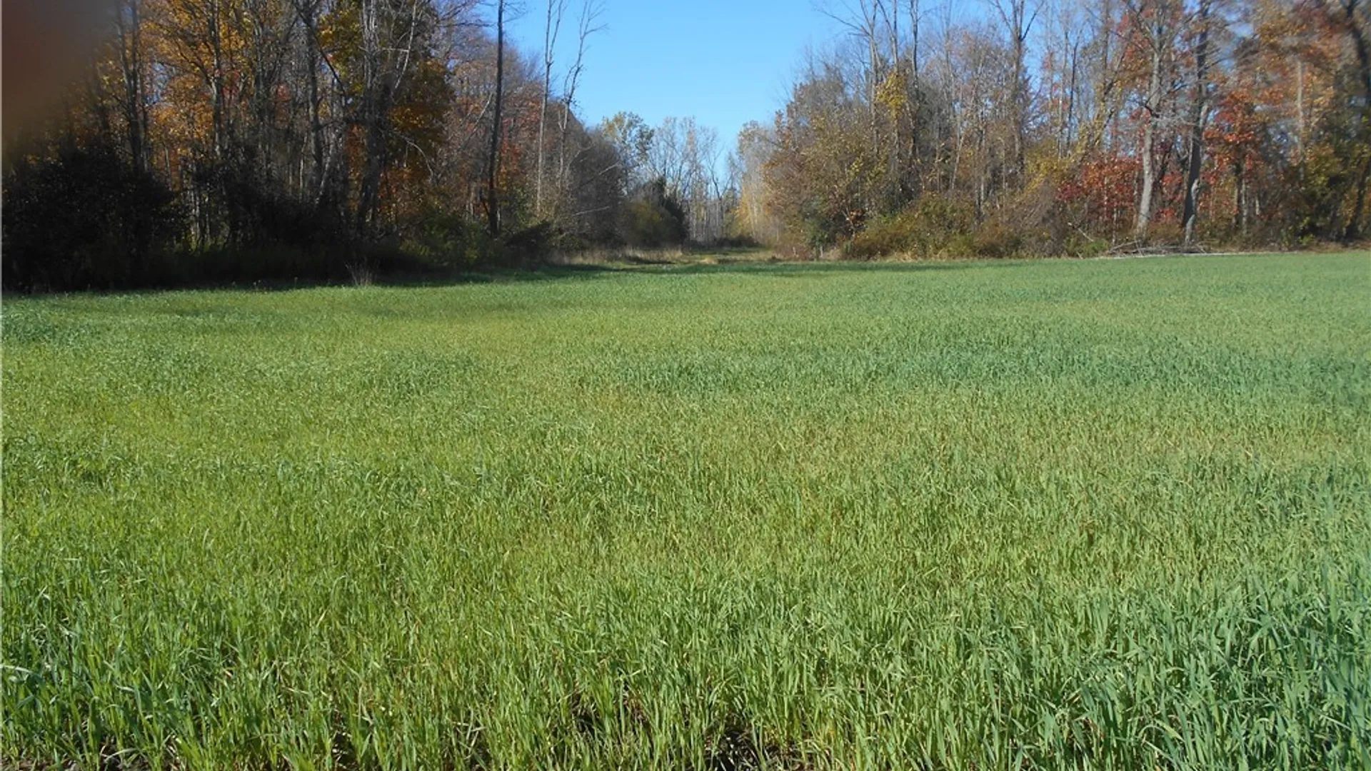 Property at Gowanda State Road, Hamburg, NY 14075 29