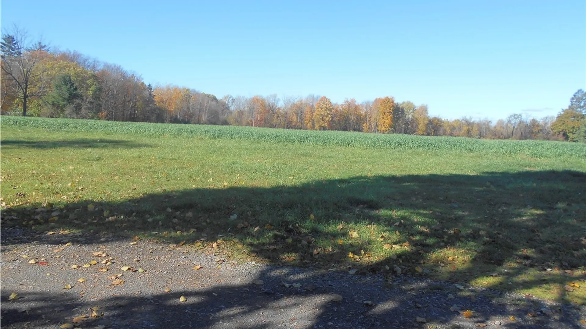 Property at Gowanda State Road, Hamburg, NY 14075 3