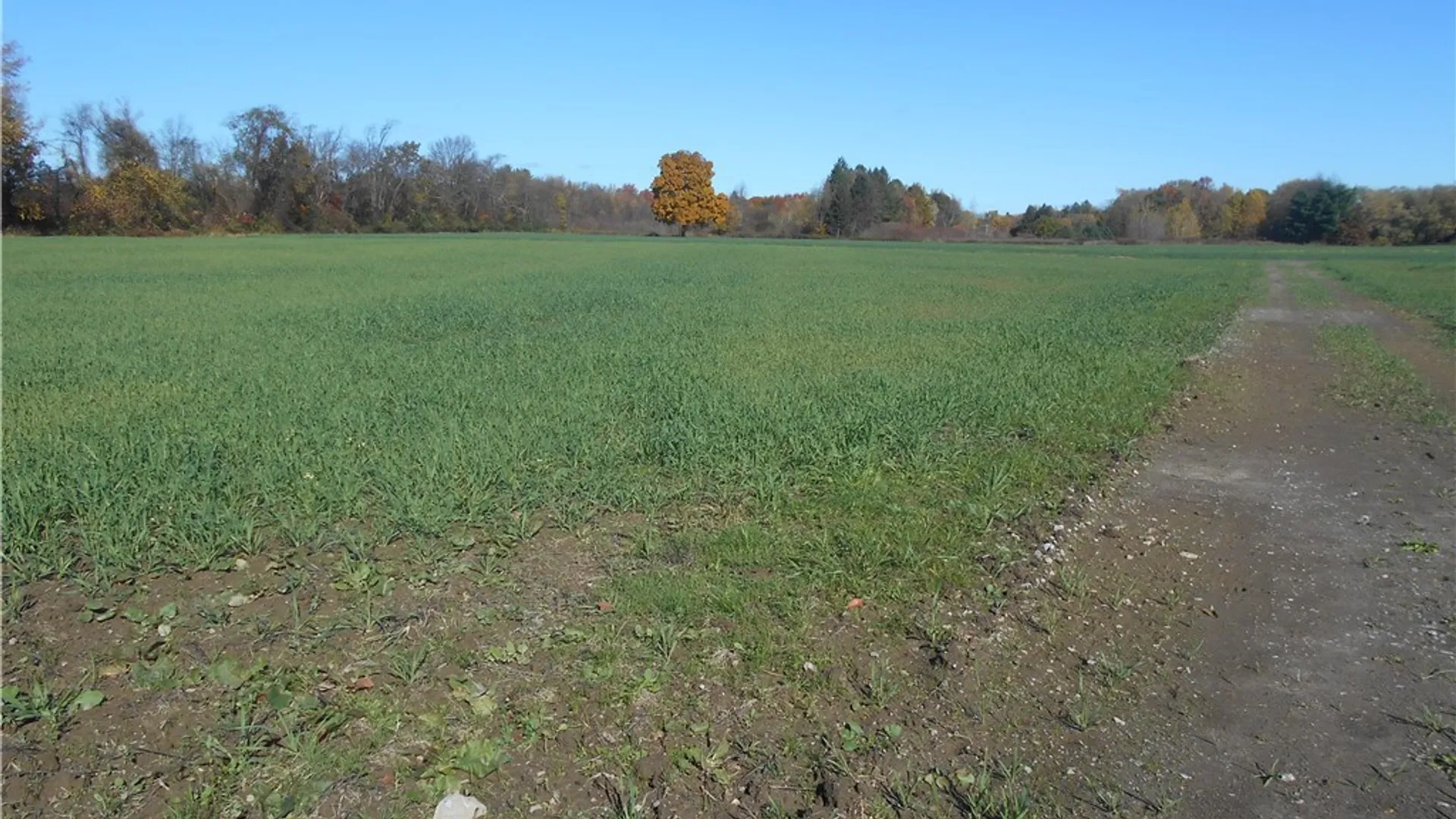 Property at Gowanda State Road, Hamburg, NY 14075 30