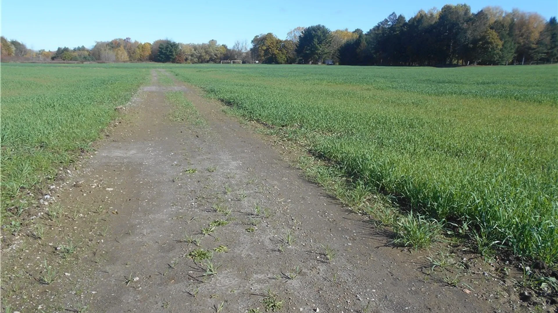 Property at Gowanda State Road, Hamburg, NY 14075 31