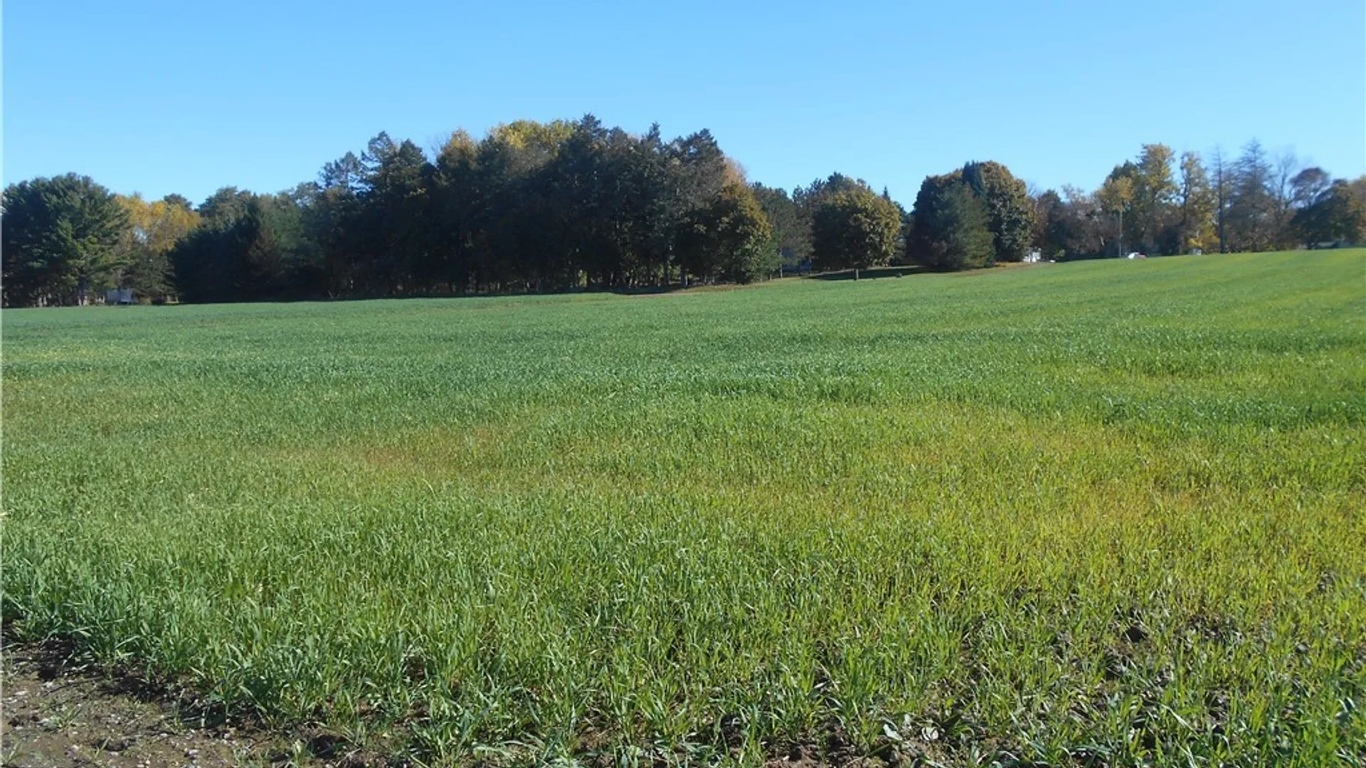 Property at Gowanda State Road, Hamburg, NY 14075 32