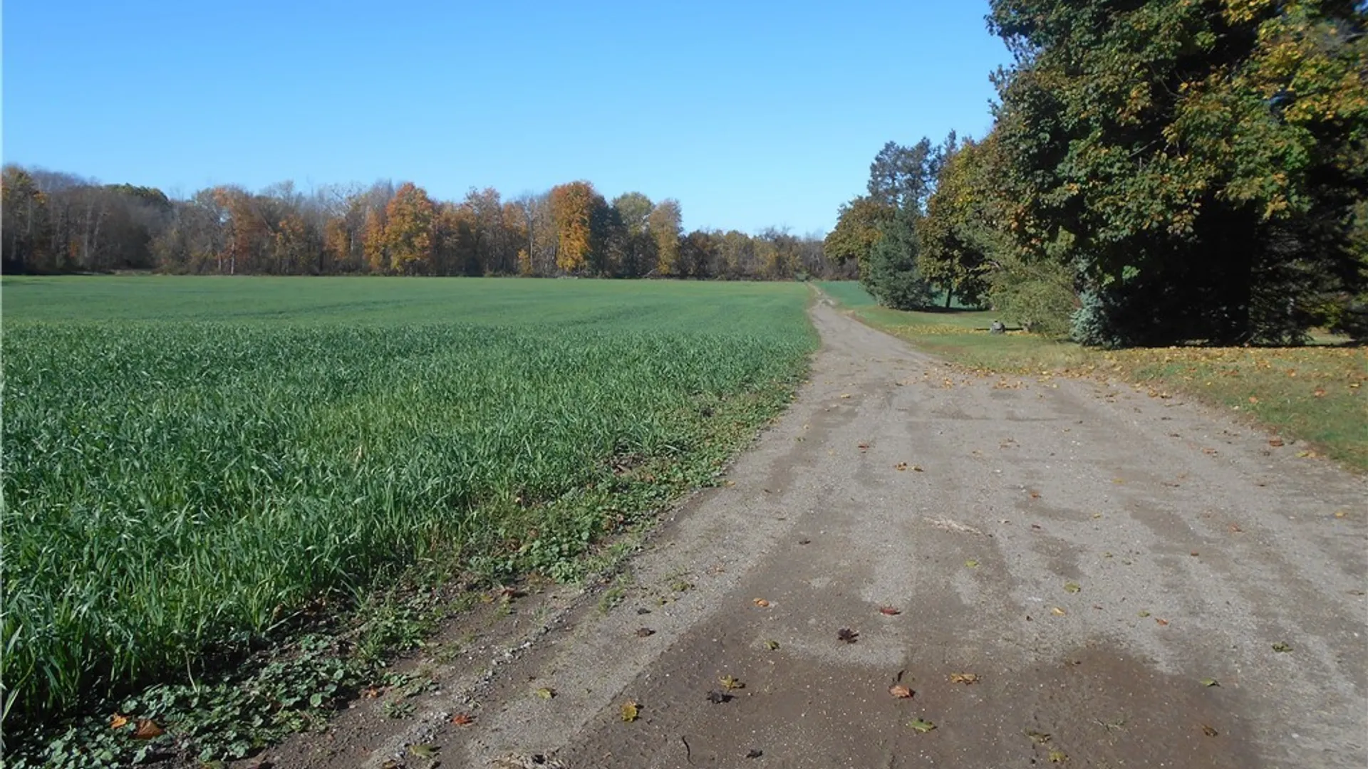 Property at Gowanda State Road, Hamburg, NY 14075 4