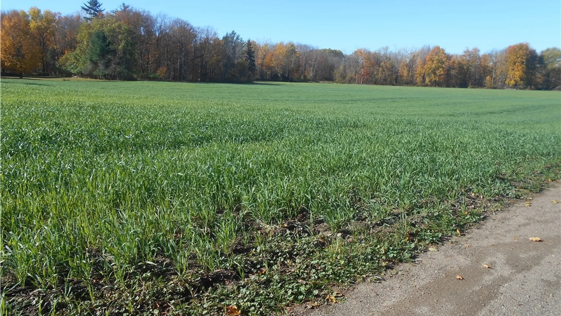 Property at Gowanda State Road, Hamburg, NY 14075 5