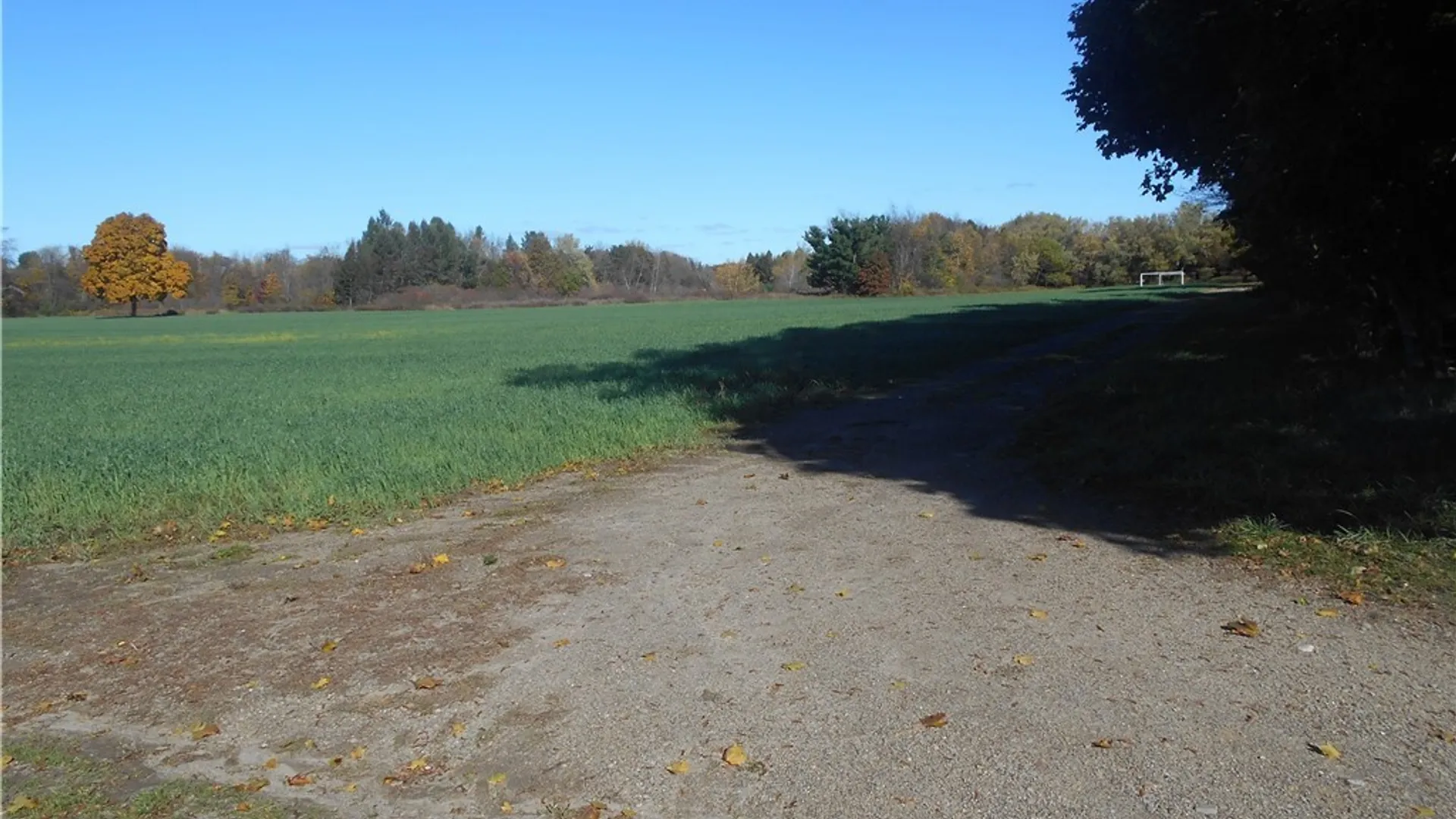 Property at Gowanda State Road, Hamburg, NY 14075 7