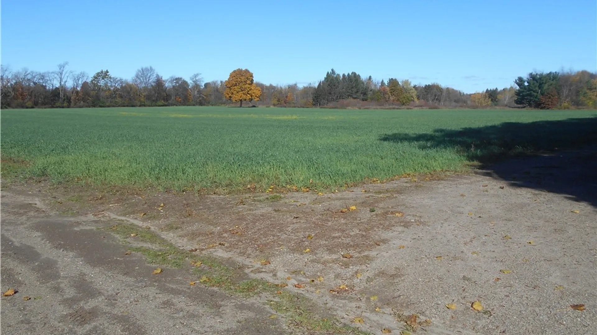 Property at Gowanda State Road, Hamburg, NY 14075 8