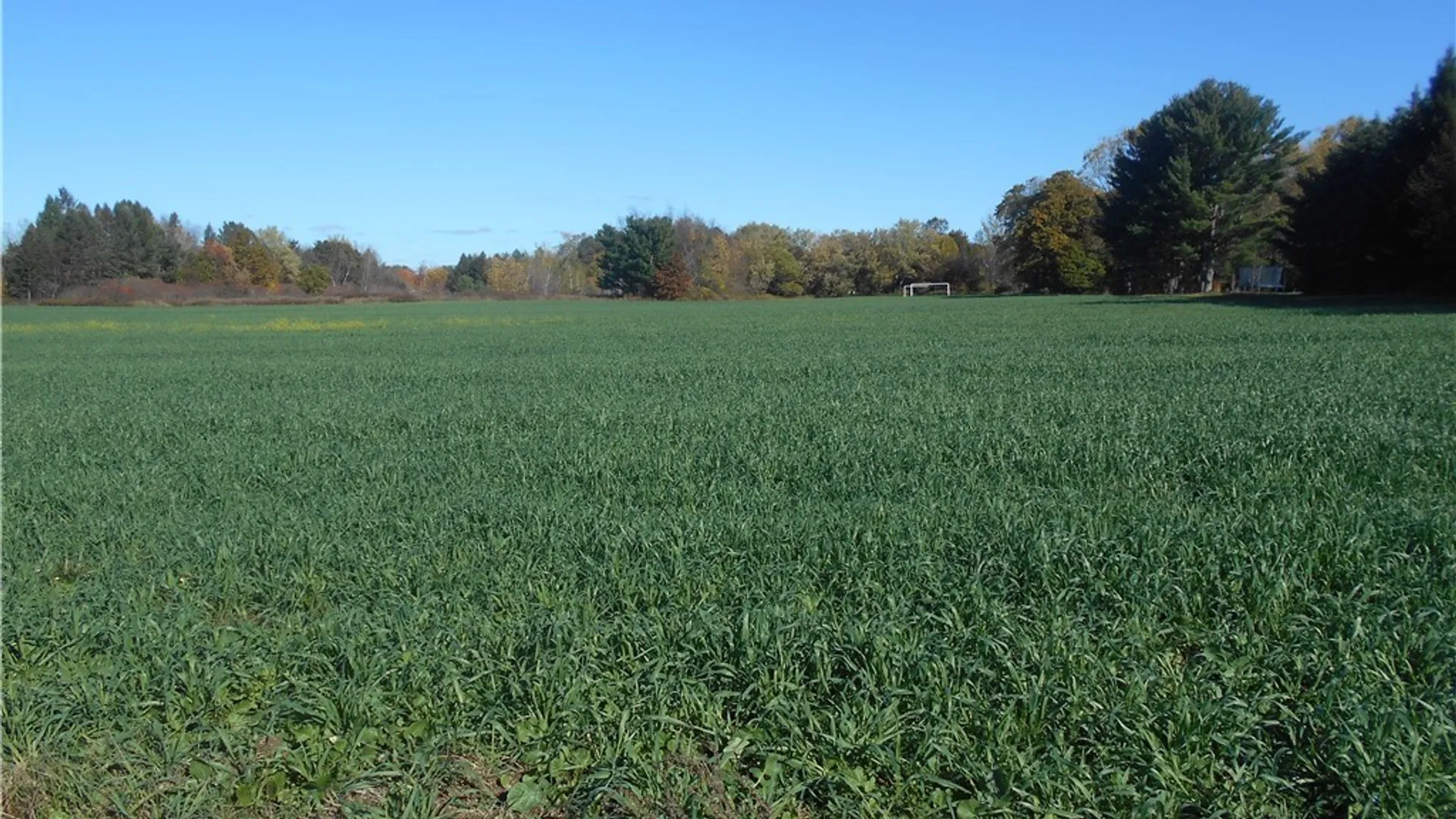 Property at Gowanda State Road, Hamburg, NY 14075 9