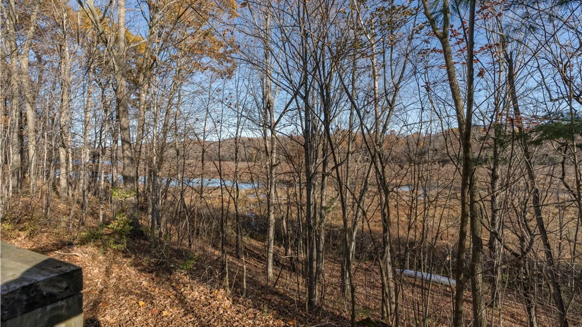 Property at Yellow Lake Drive LPT, Rossie, NY 13679 6