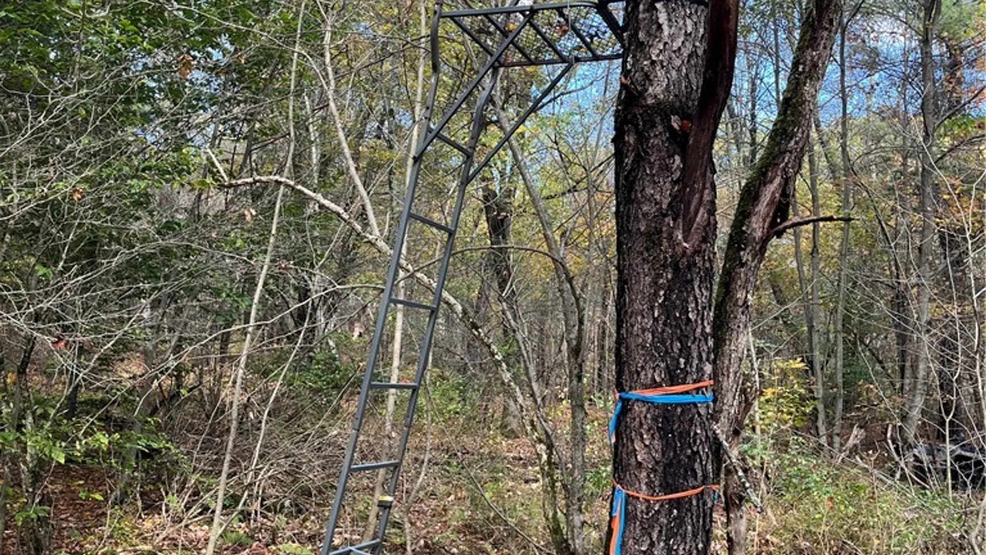 Property at 0 Baker Road, Butternuts, NY 13776 10