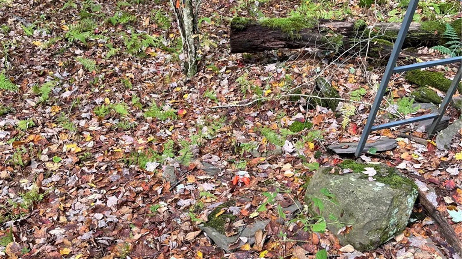 Property at 0 Baker Road, Butternuts, NY 13776 11