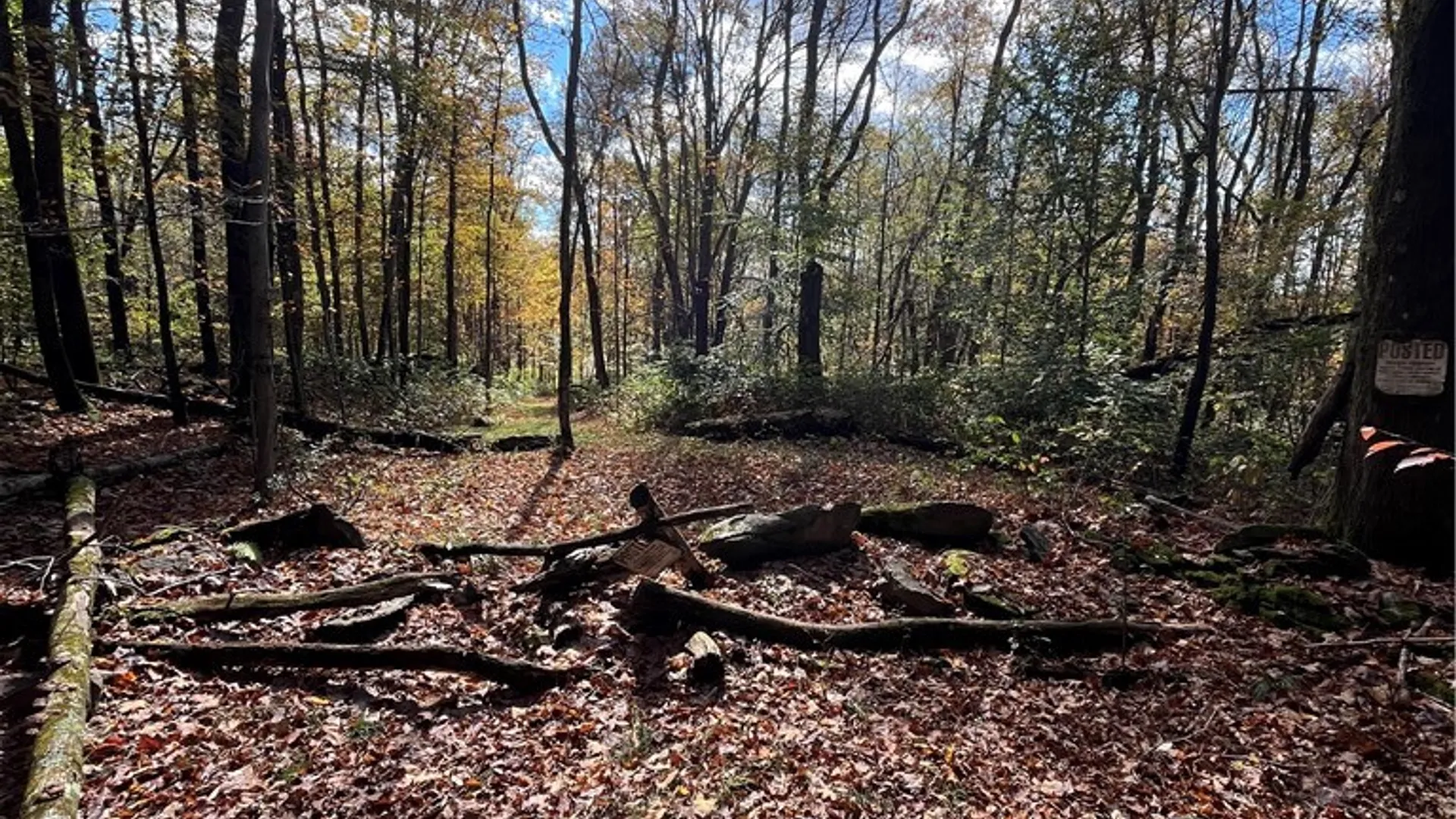 Property at 0 Baker Road, Butternuts, NY 13776 14