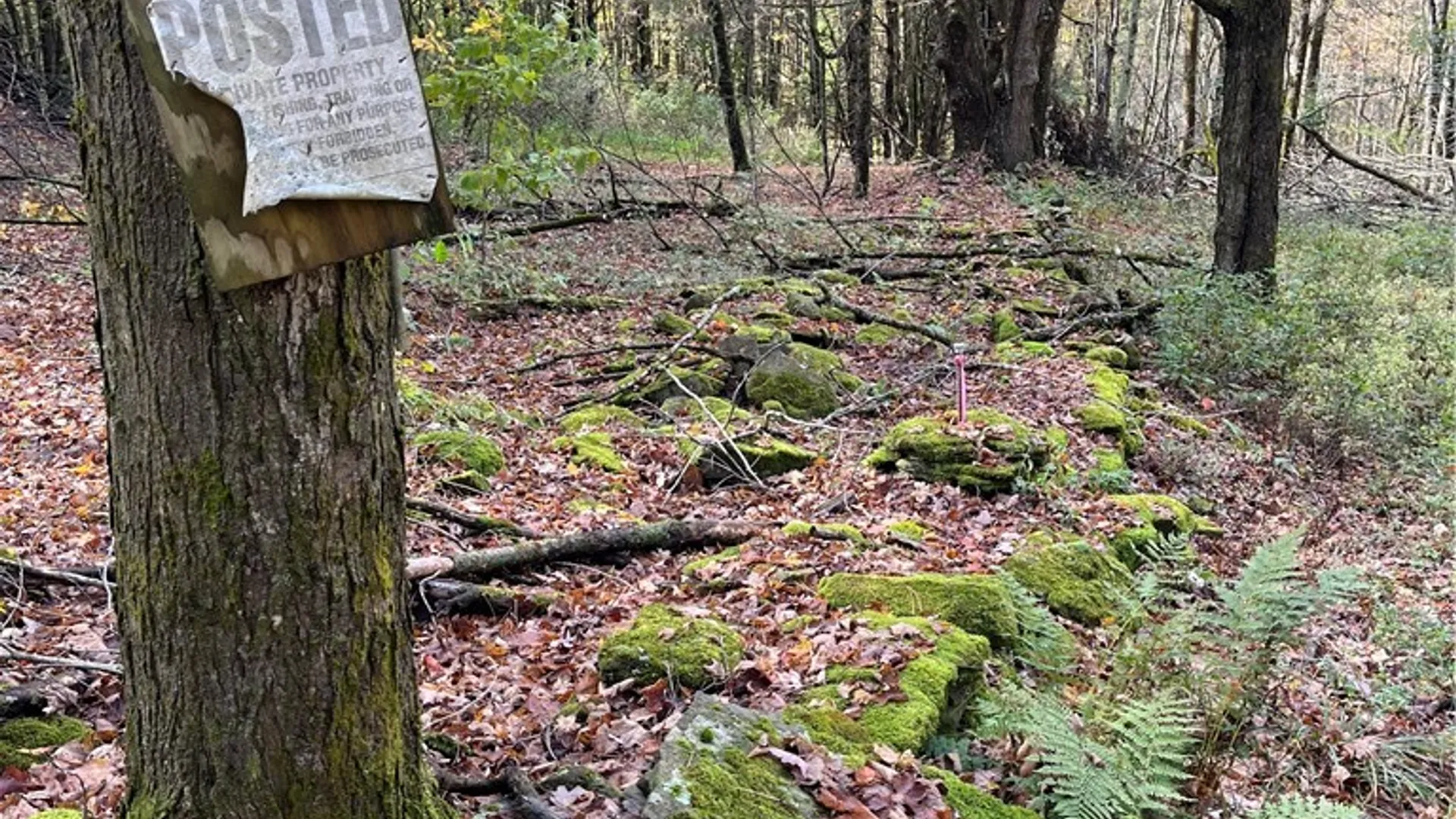 Property at 0 Baker Road, Butternuts, NY 13776 19