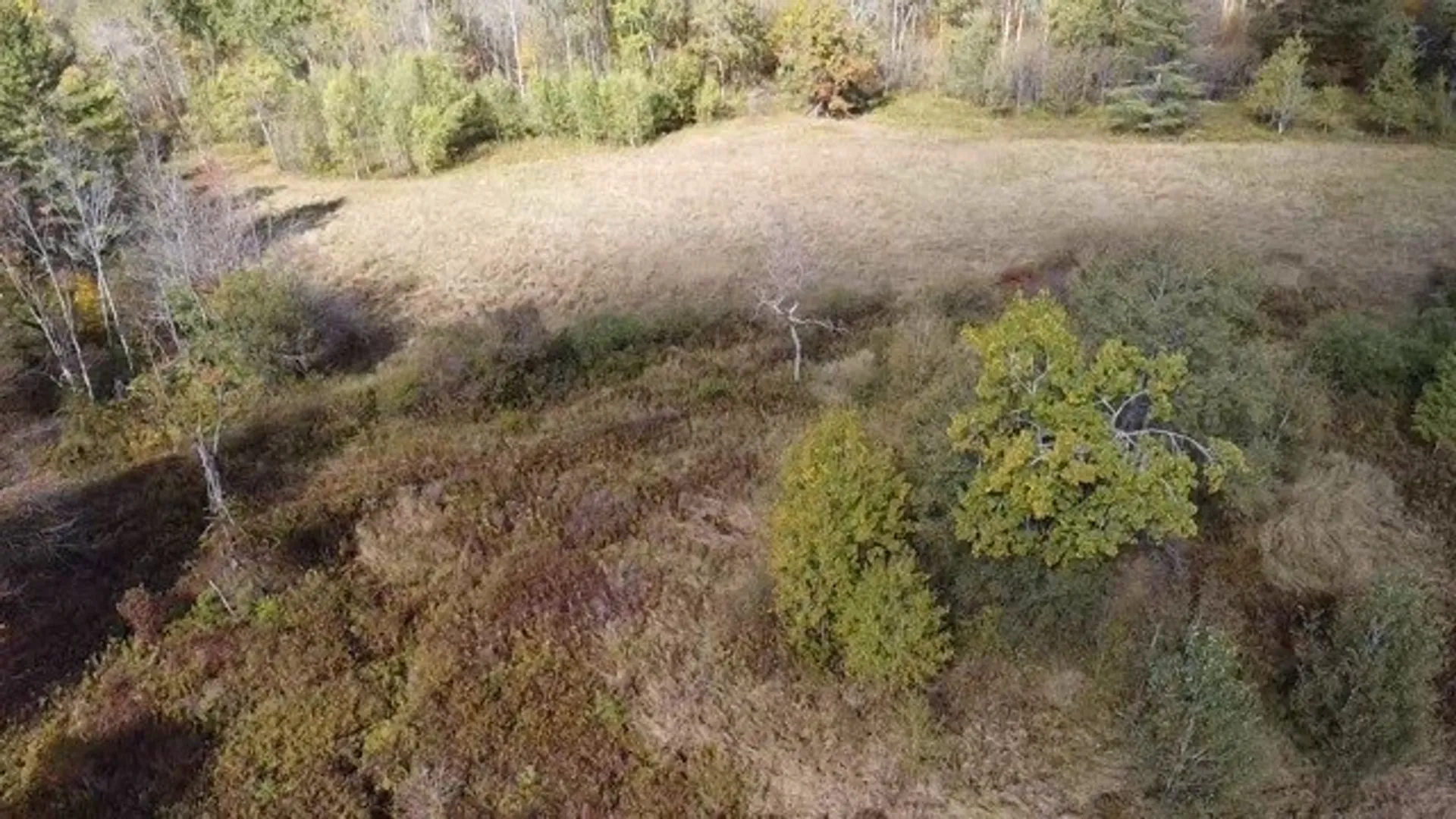 Property at 0 Baker Road, Butternuts, NY 13776 2