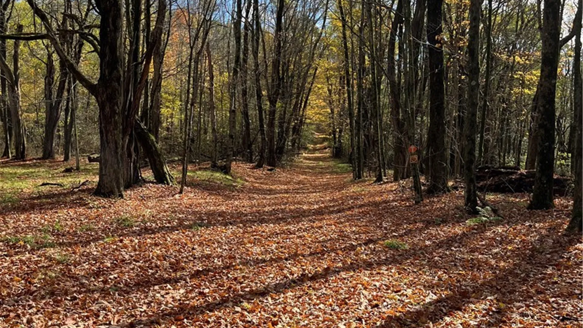 Property at 0 Baker Road, Butternuts, NY 13776 24