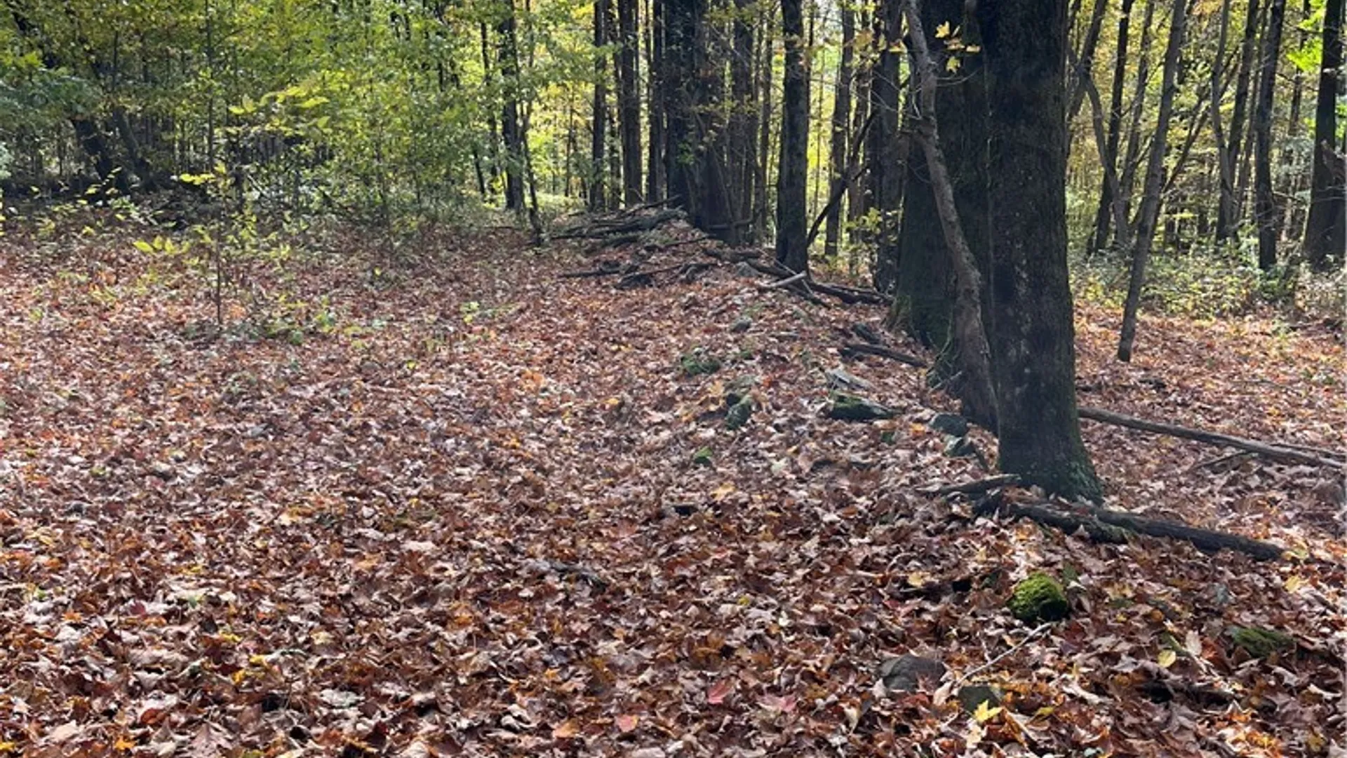 Property at 0 Baker Road, Butternuts, NY 13776 25