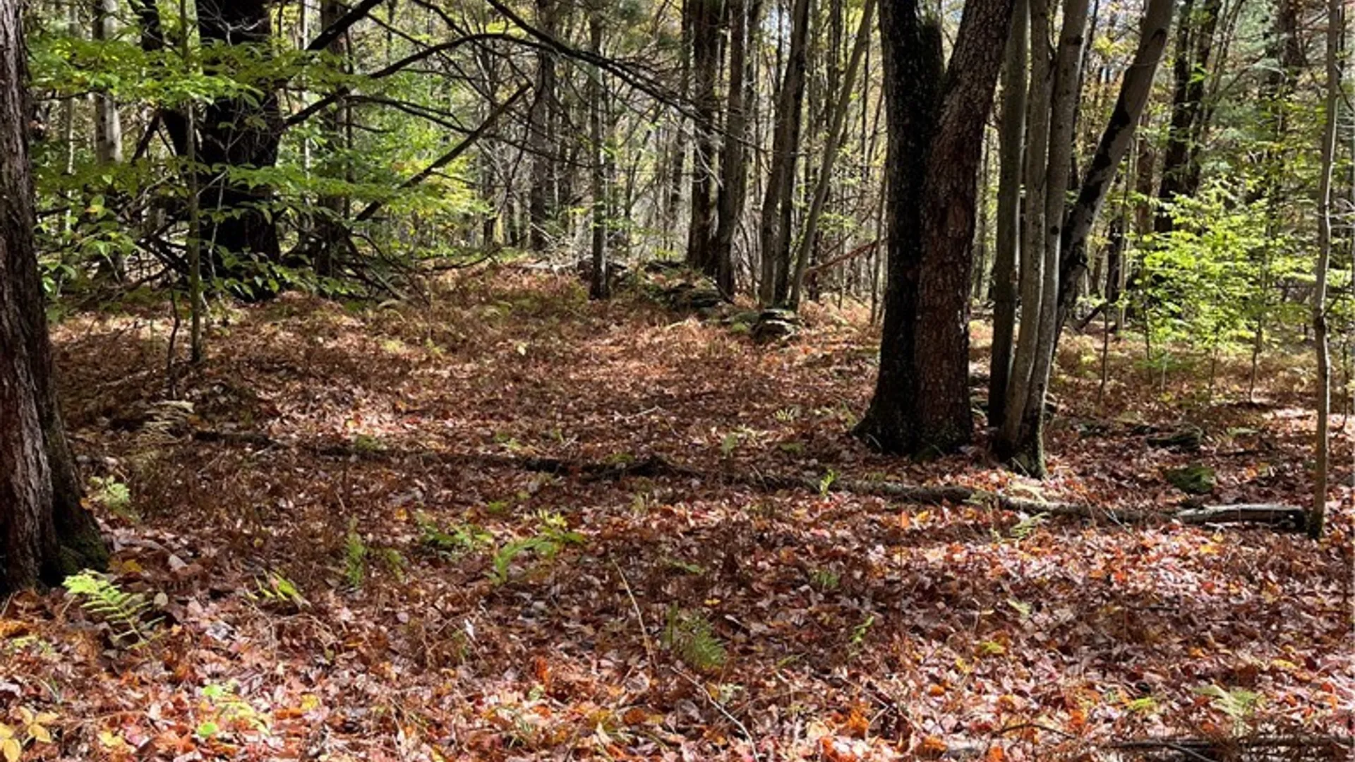 Property at 0 Baker Road, Butternuts, NY 13776 26