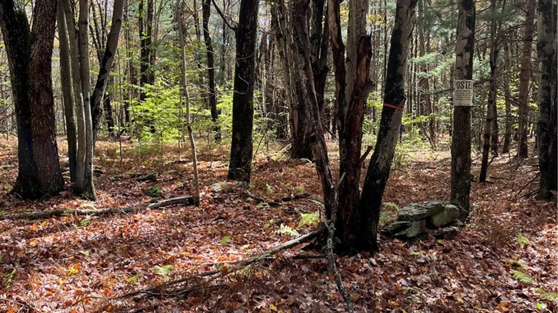 Property at 0 Baker Road, Butternuts, NY 13776 27