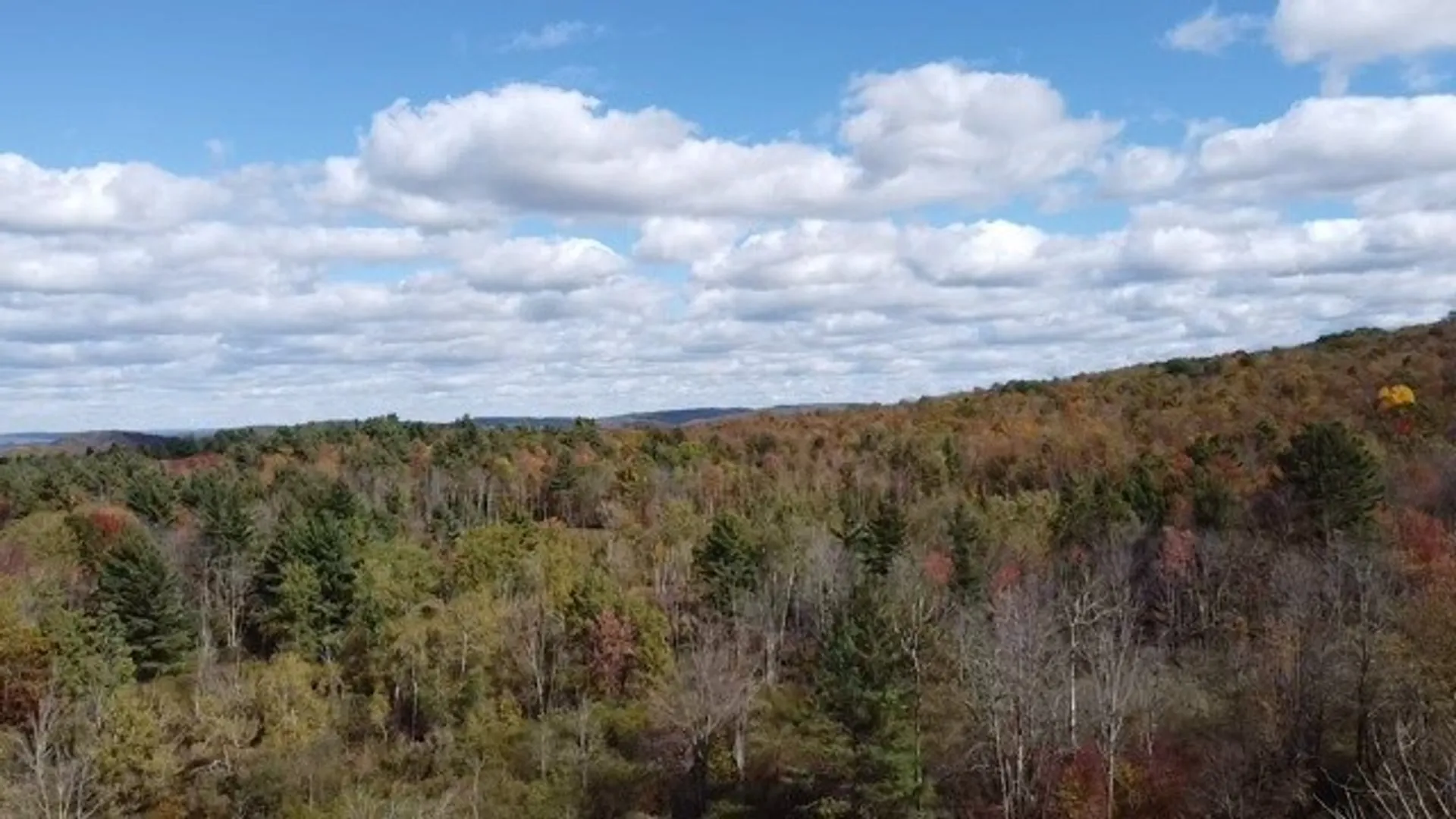 Property at 0 Baker Road, Butternuts, NY 13776 30