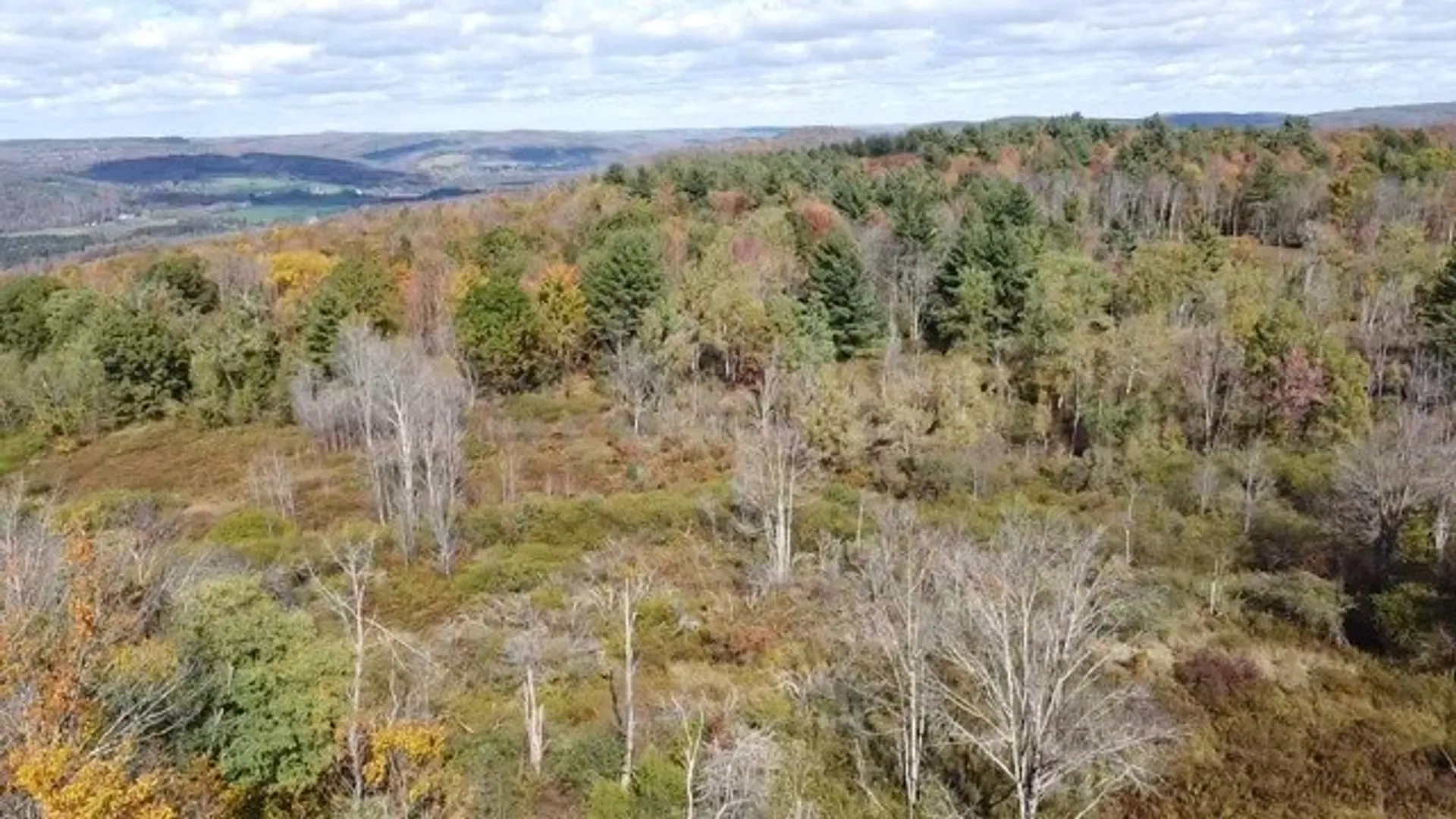 Property at 0 Baker Road, Butternuts, NY 13776 32