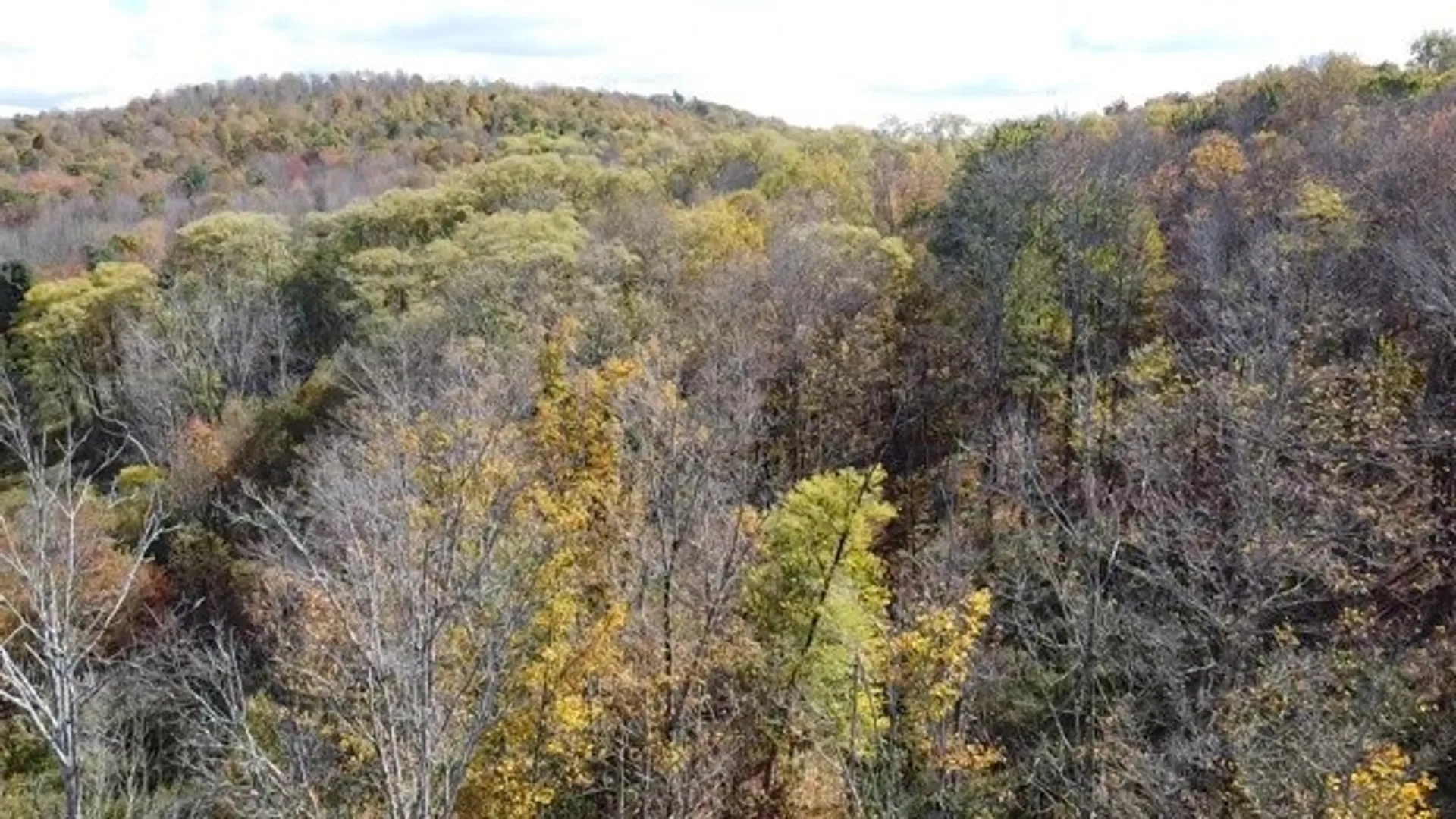 Property at 0 Baker Road, Butternuts, NY 13776 34