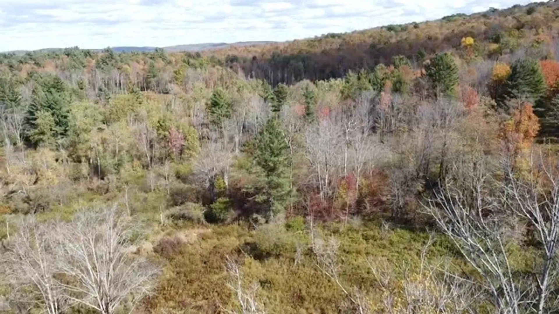 Property at 0 Baker Road, Butternuts, NY 13776 35