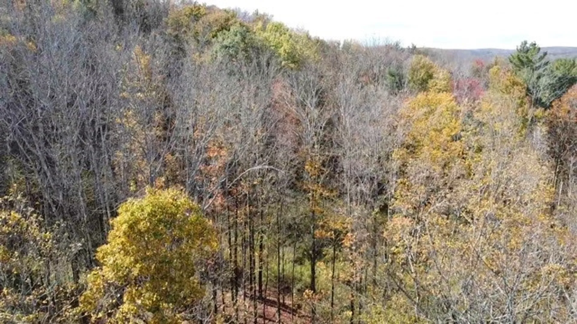 Property at 0 Baker Road, Butternuts, NY 13776 36