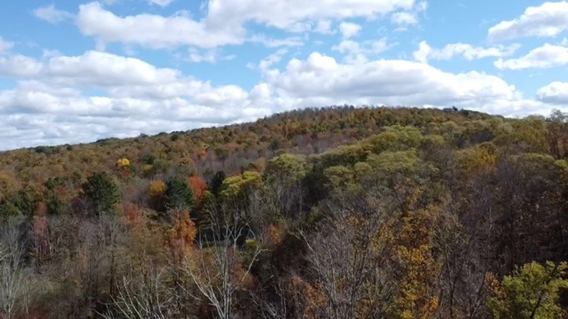 Property at 0 Baker Road, Butternuts, NY 13776 37