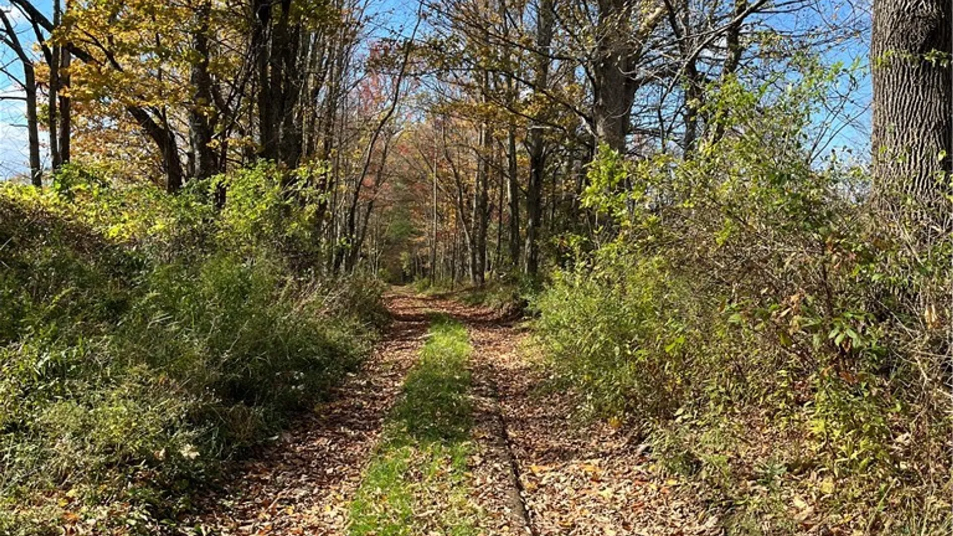 Property at 0 Baker Road, Butternuts, NY 13776 4