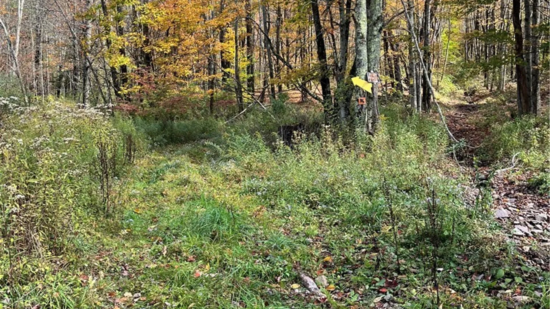 Property at 0 Baker Road, Butternuts, NY 13776 5