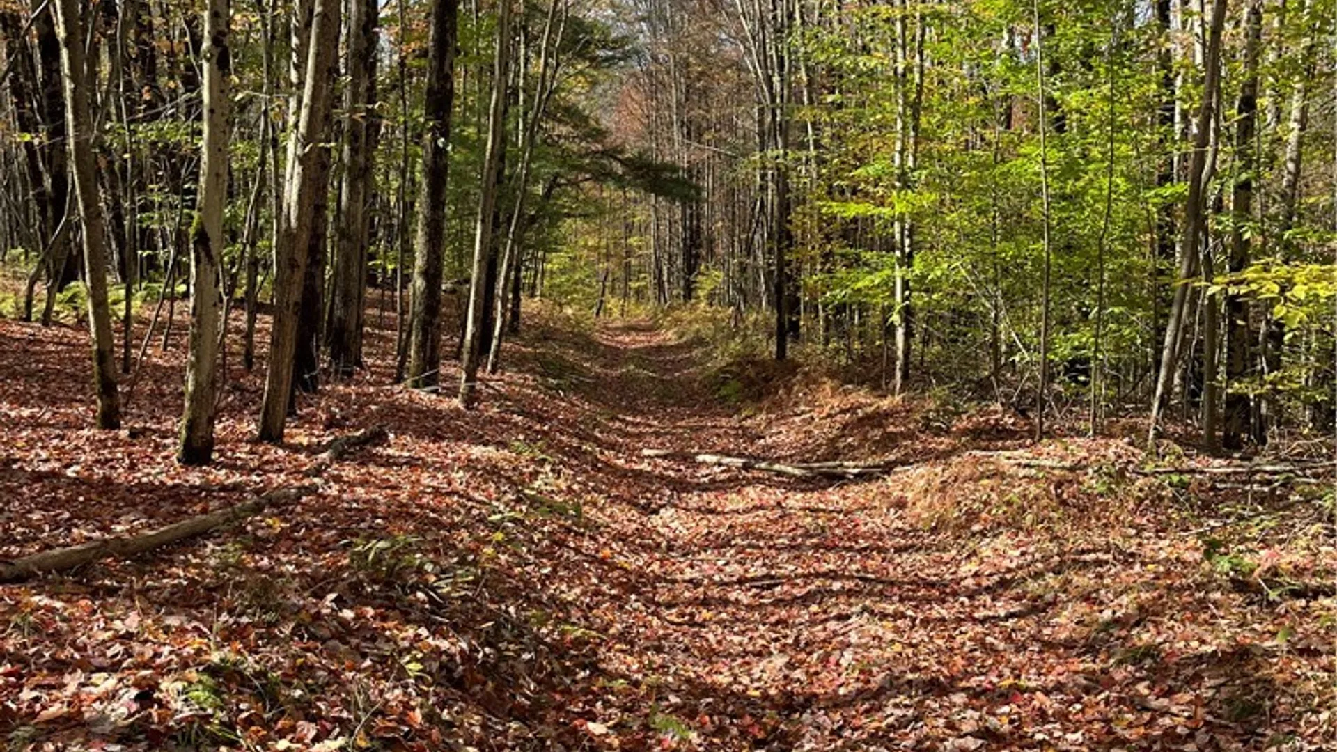 Property at 0 Baker Road, Butternuts, NY 13776 7