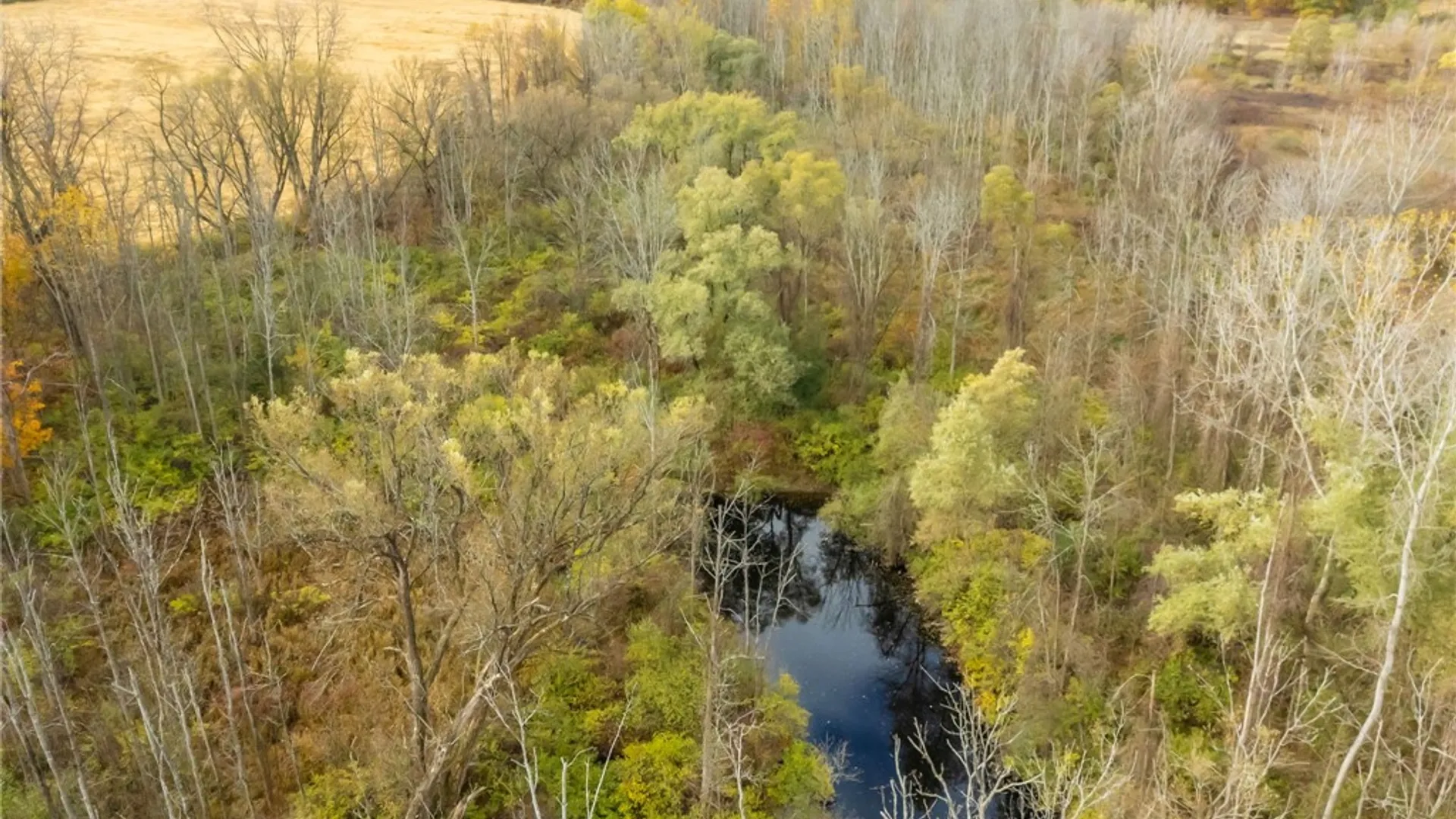 Property at 8009 State Route 251, Victor, NY 14564 10