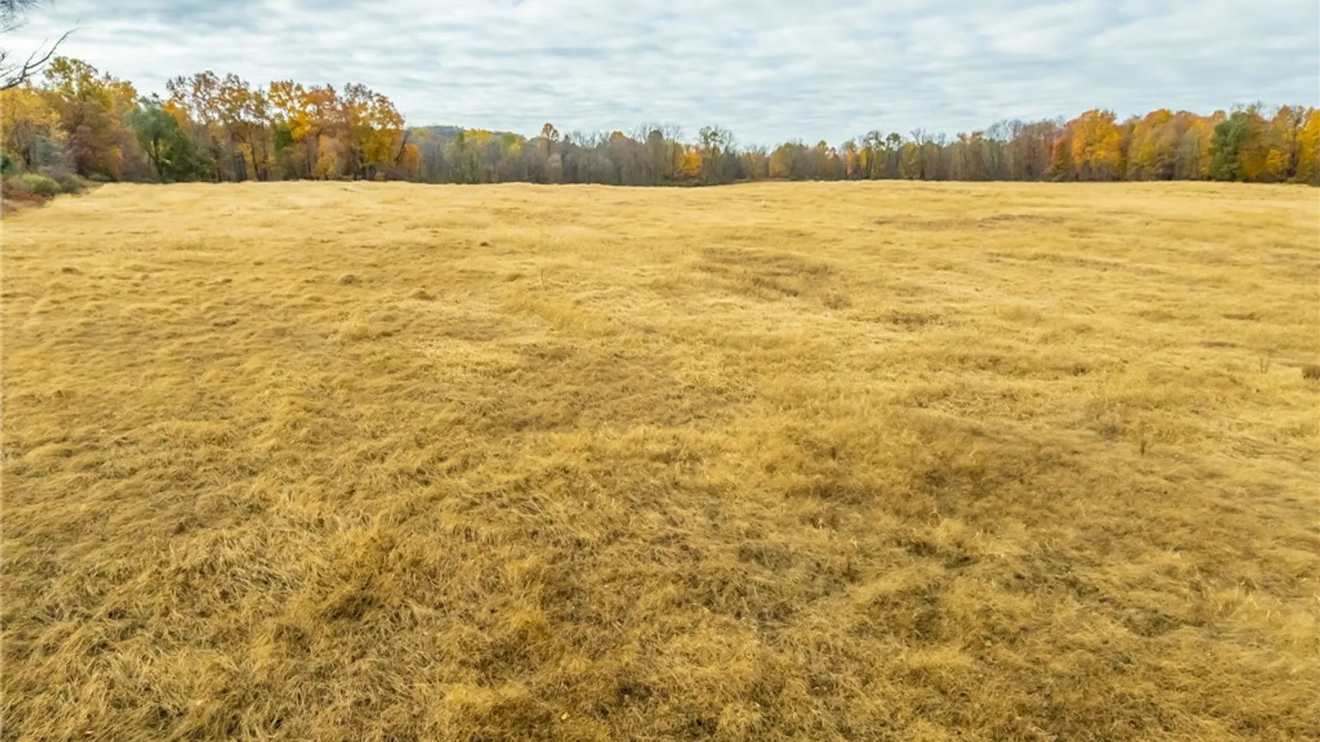 Property at 8009 State Route 251, Victor, NY 14564 14