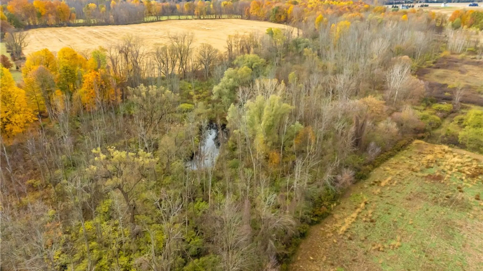 Property at 8009 State Route 251, Victor, NY 14564 15