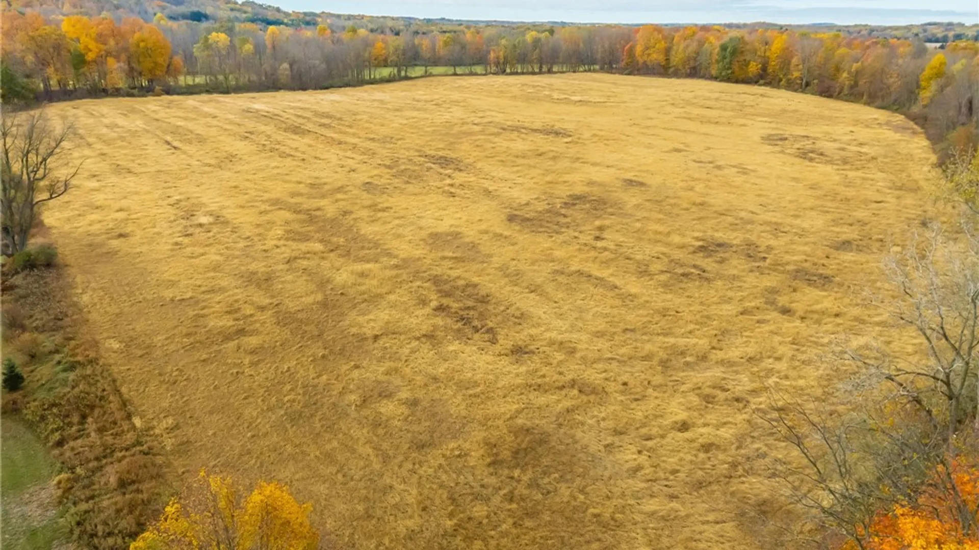 Property at 8009 State Route 251, Victor, NY 14564 16