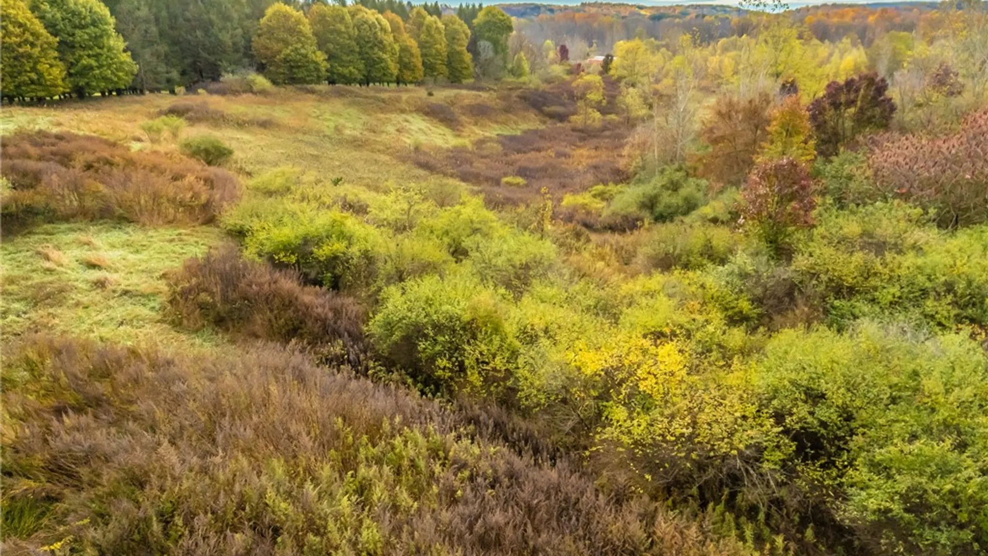 Property at 8009 State Route 251, Victor, NY 14564 18