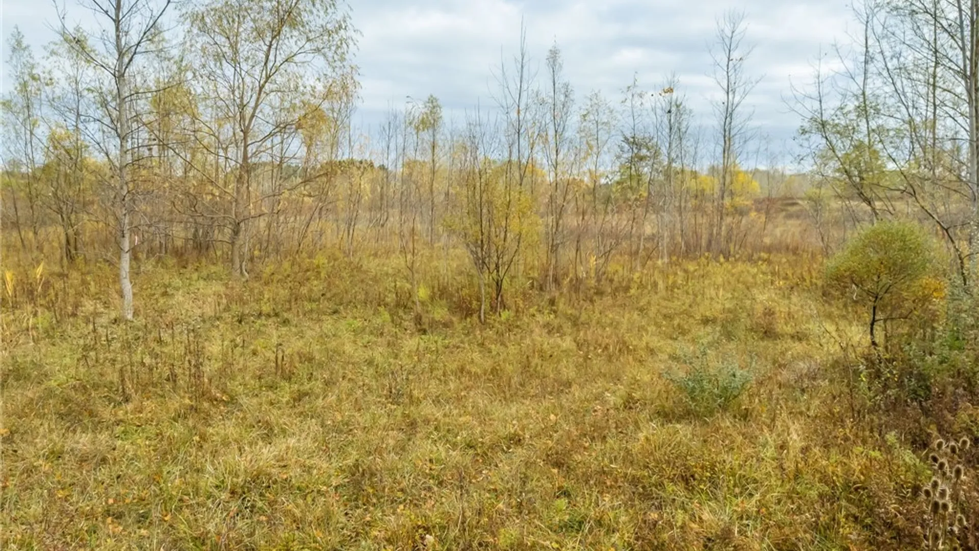 Property at 8009 State Route 251, Victor, NY 14564 19