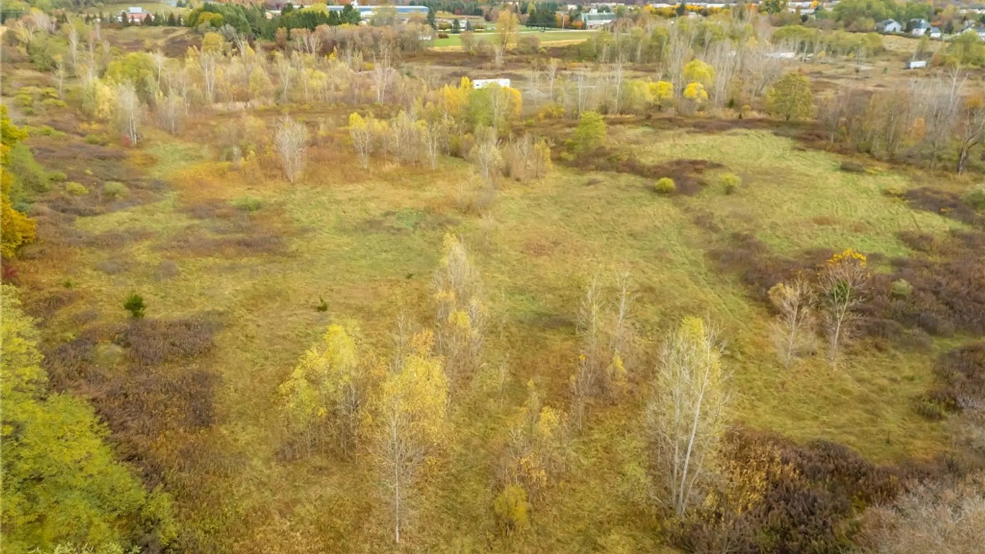 Property at 8009 State Route 251, Victor, NY 14564 21