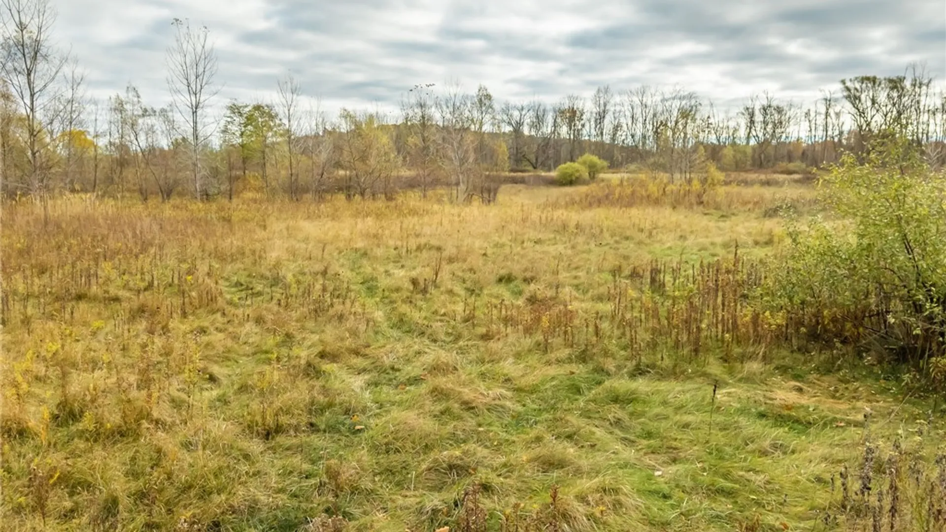 Property at 8009 State Route 251, Victor, NY 14564 24