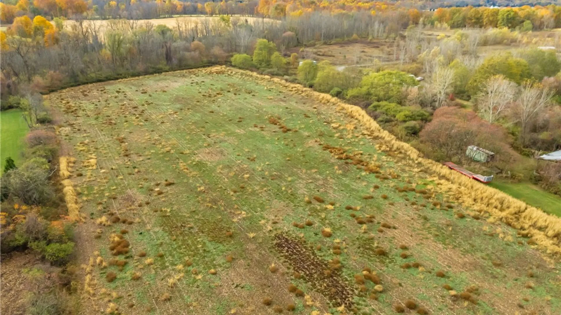 Property at 8009 State Route 251, Victor, NY 14564 4