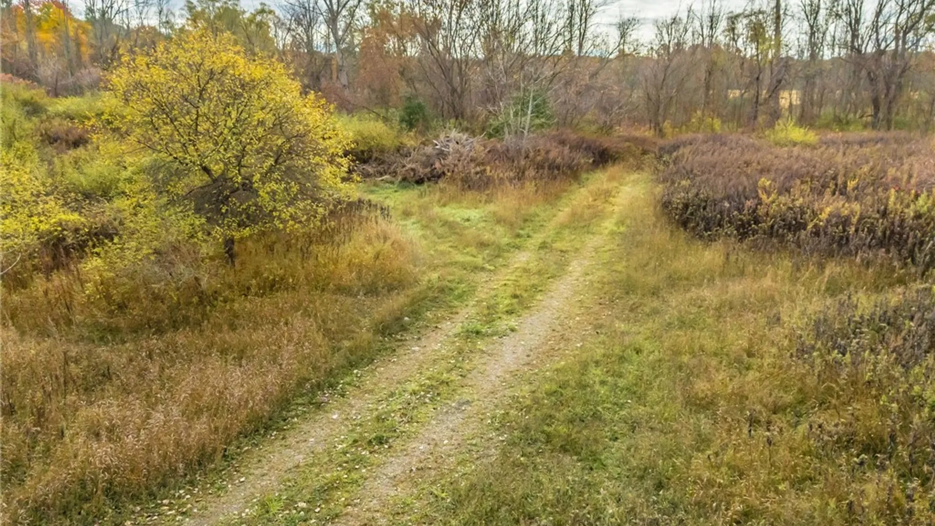 Property at 8009 State Route 251, Victor, NY 14564 6