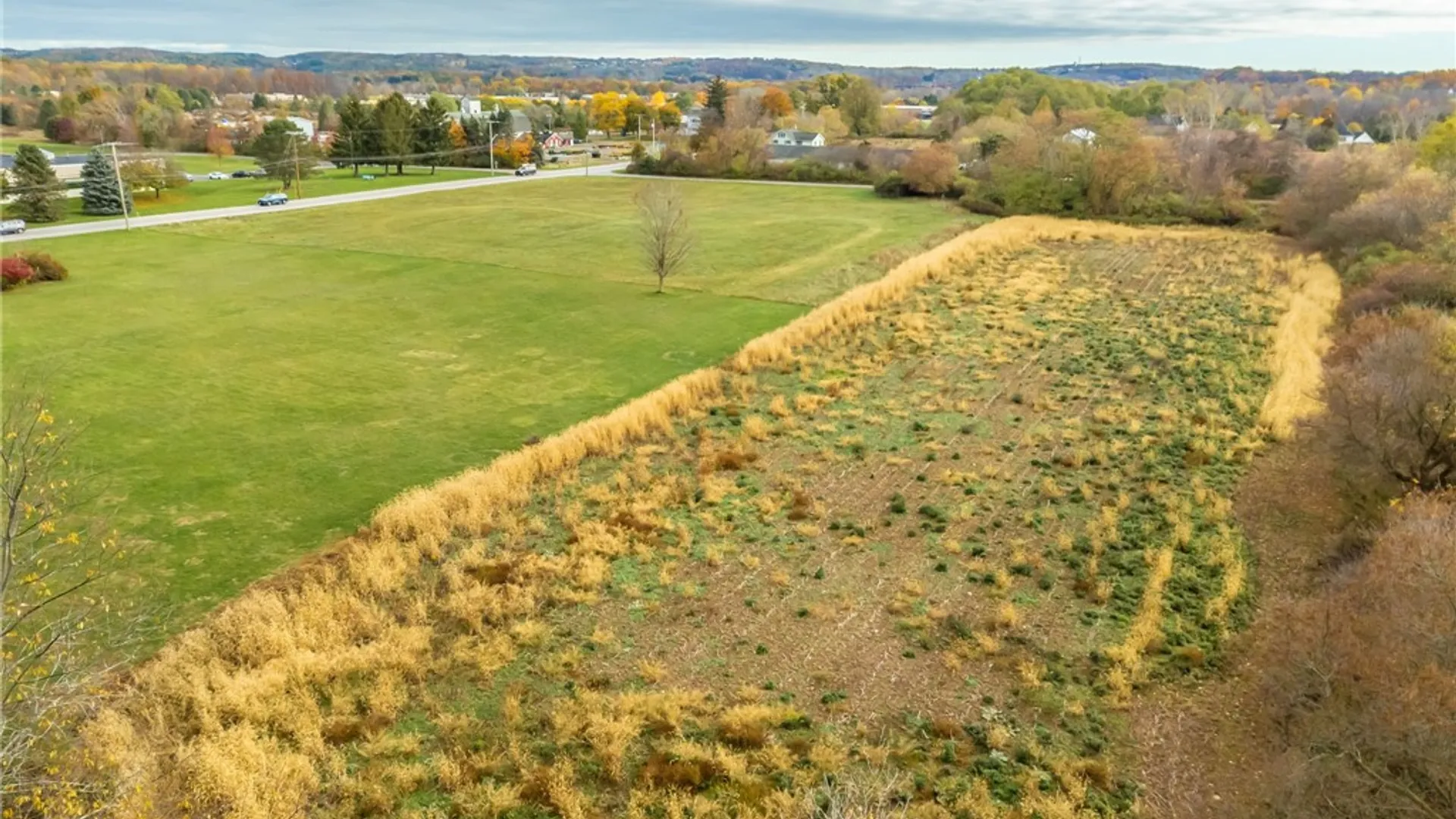 Property at 8009 State Route 251, Victor, NY 14564 8