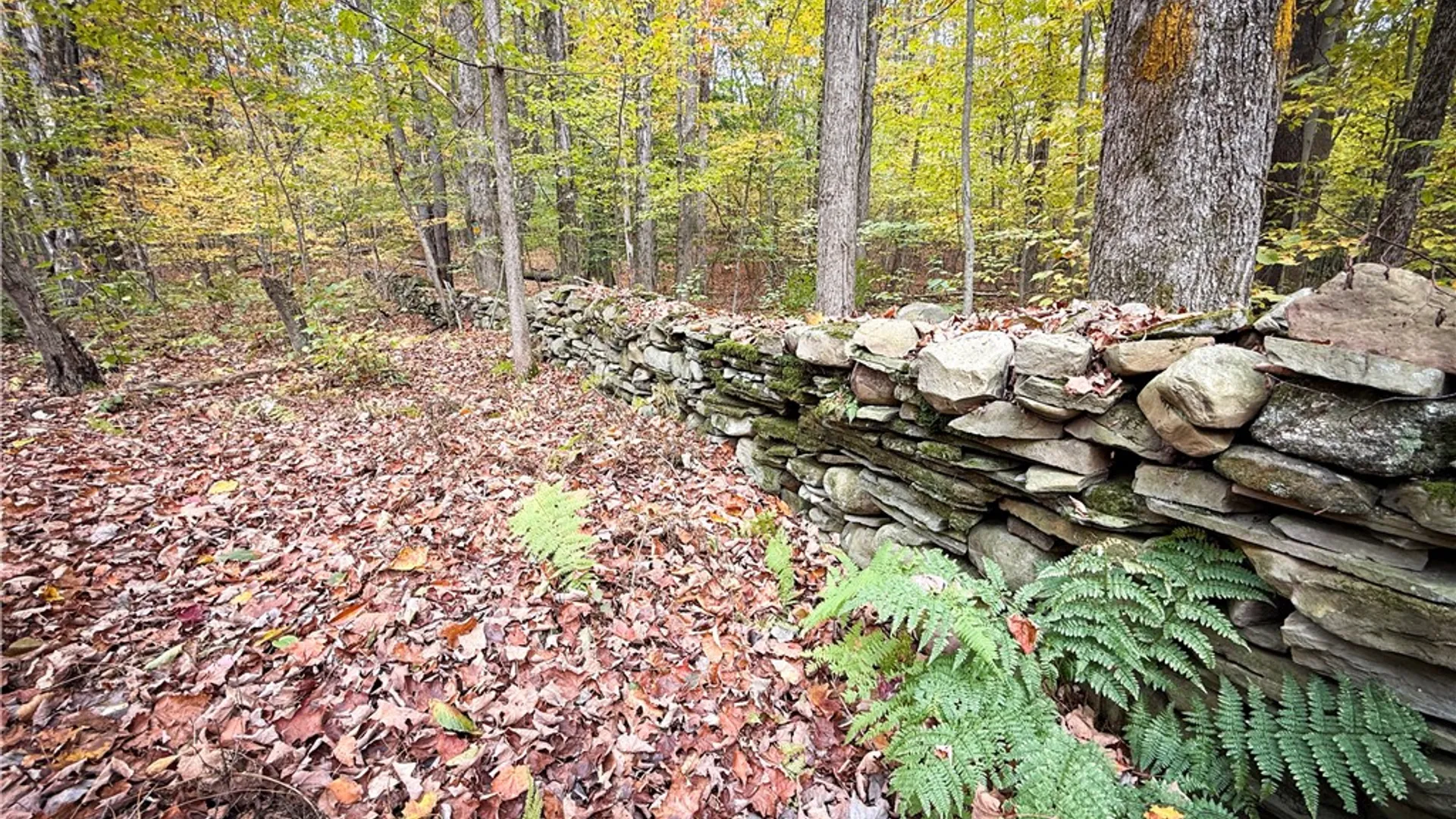 Property at 0 Trout Brook Drive, Orwell, NY 13144 25