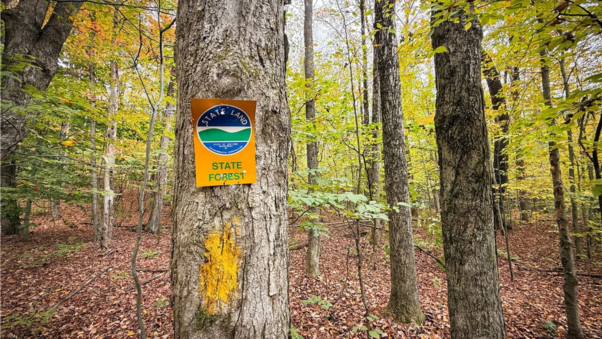 Property at 0 Trout Brook Drive, Orwell, NY 13144 26