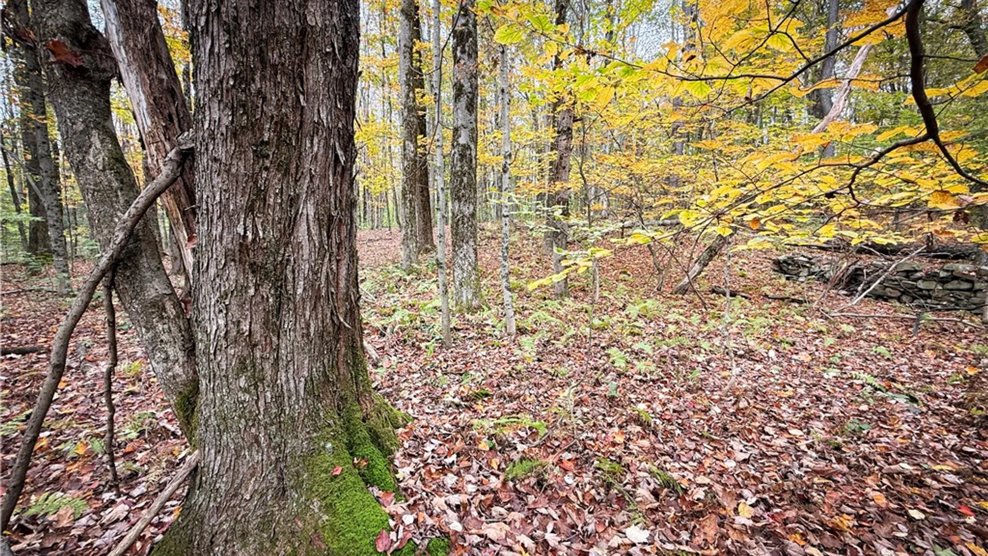 Property at 0 Trout Brook Drive, Orwell, NY 13144 28