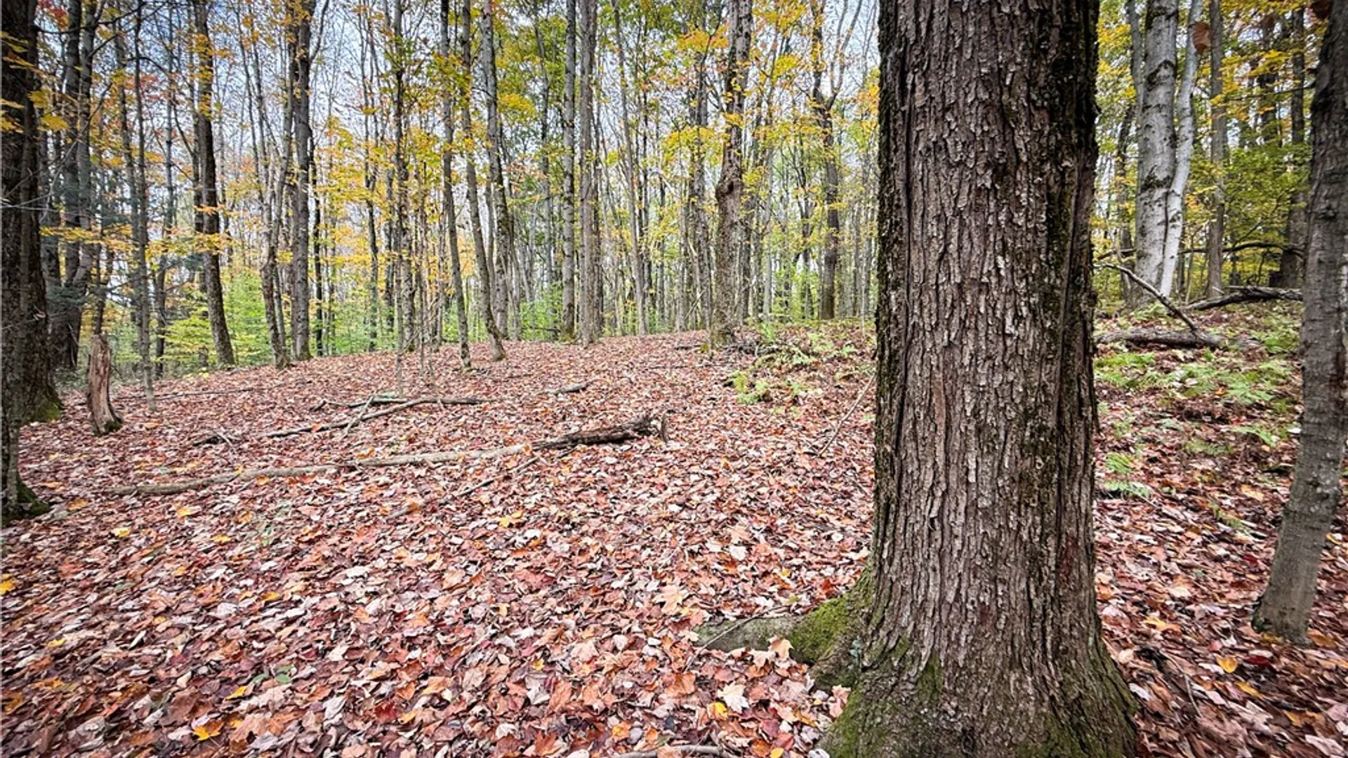 Property at 0 Trout Brook Drive, Orwell, NY 13144 29