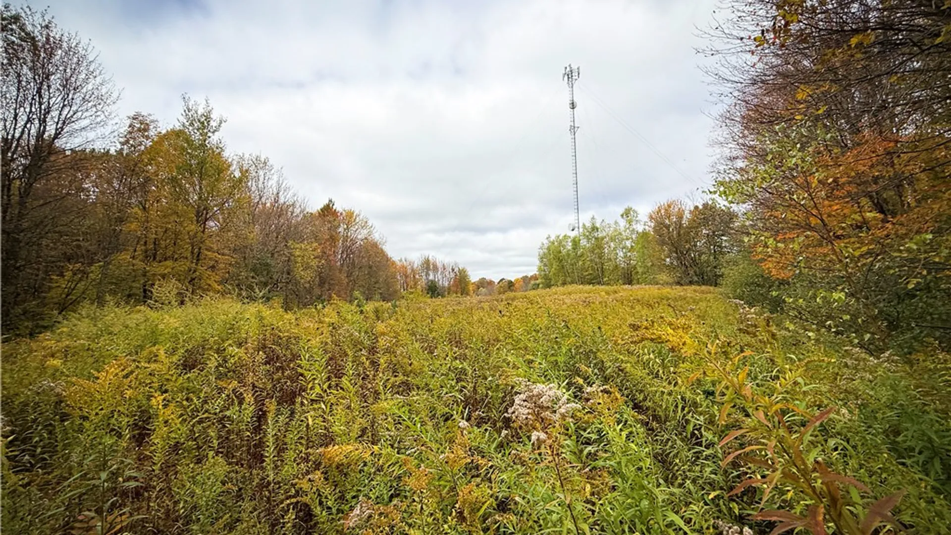 Property at 0 Trout Brook Drive, Orwell, NY 13144 31