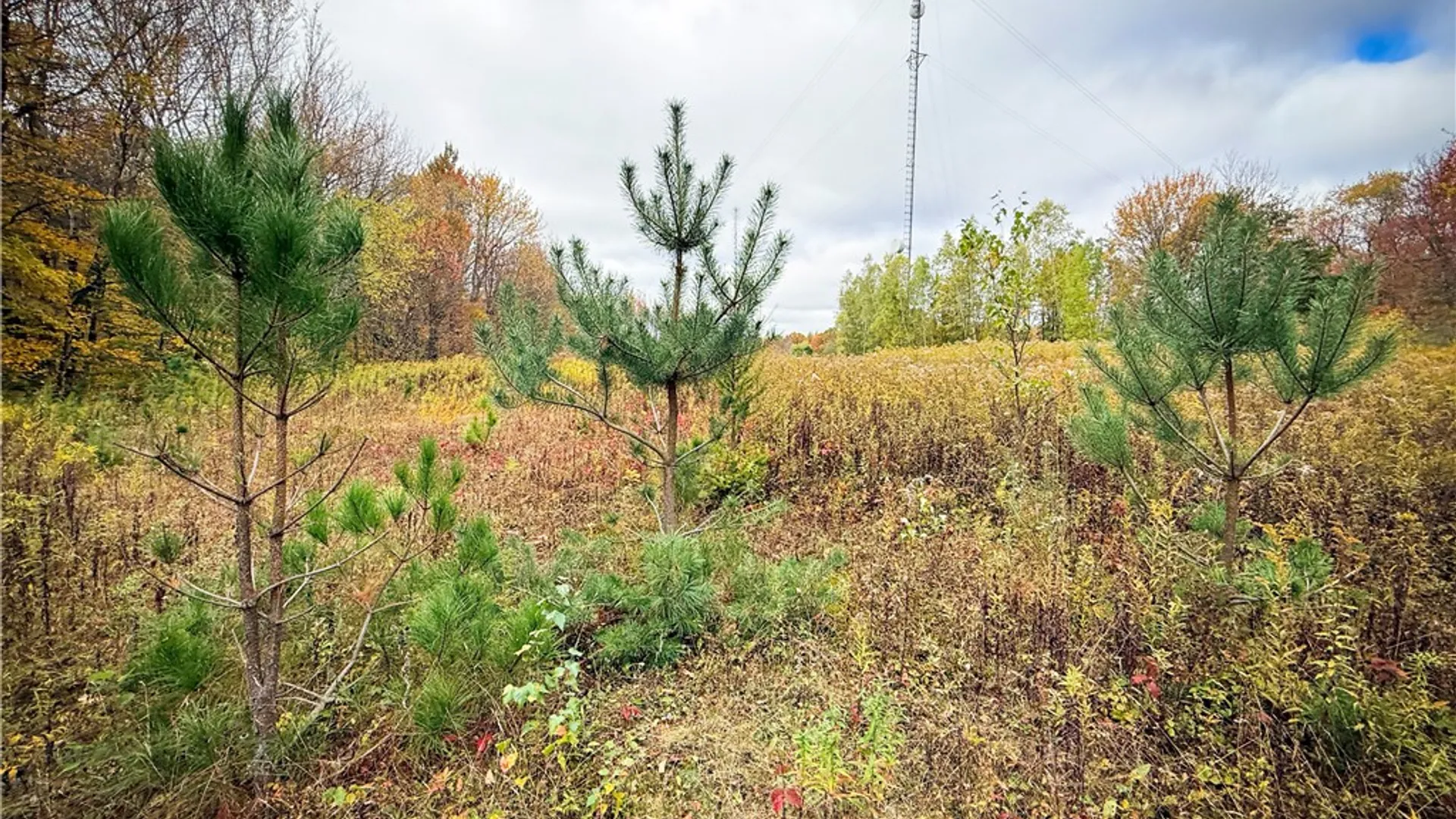 Property at 0 Trout Brook Drive, Orwell, NY 13144 32