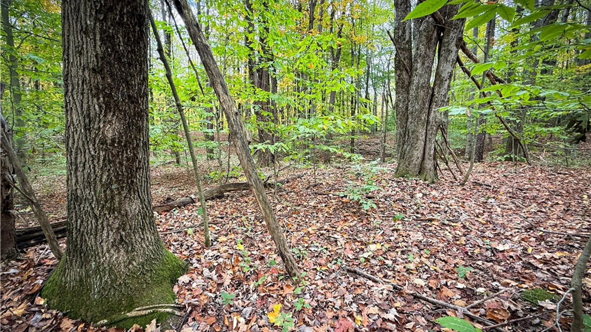 Property at 0 Trout Brook Drive, Orwell, NY 13144 34