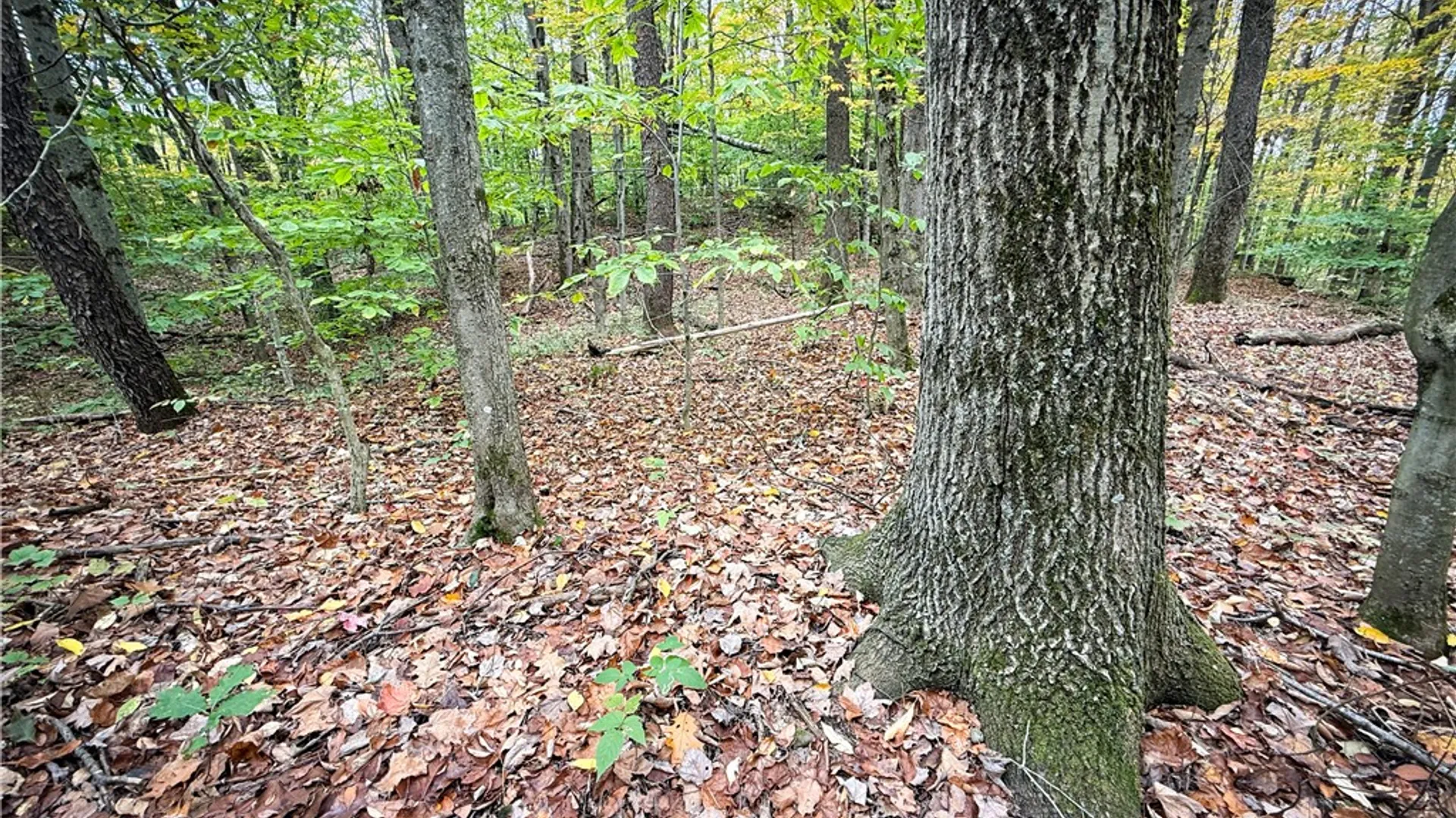 Property at 0 Trout Brook Drive, Orwell, NY 13144 35