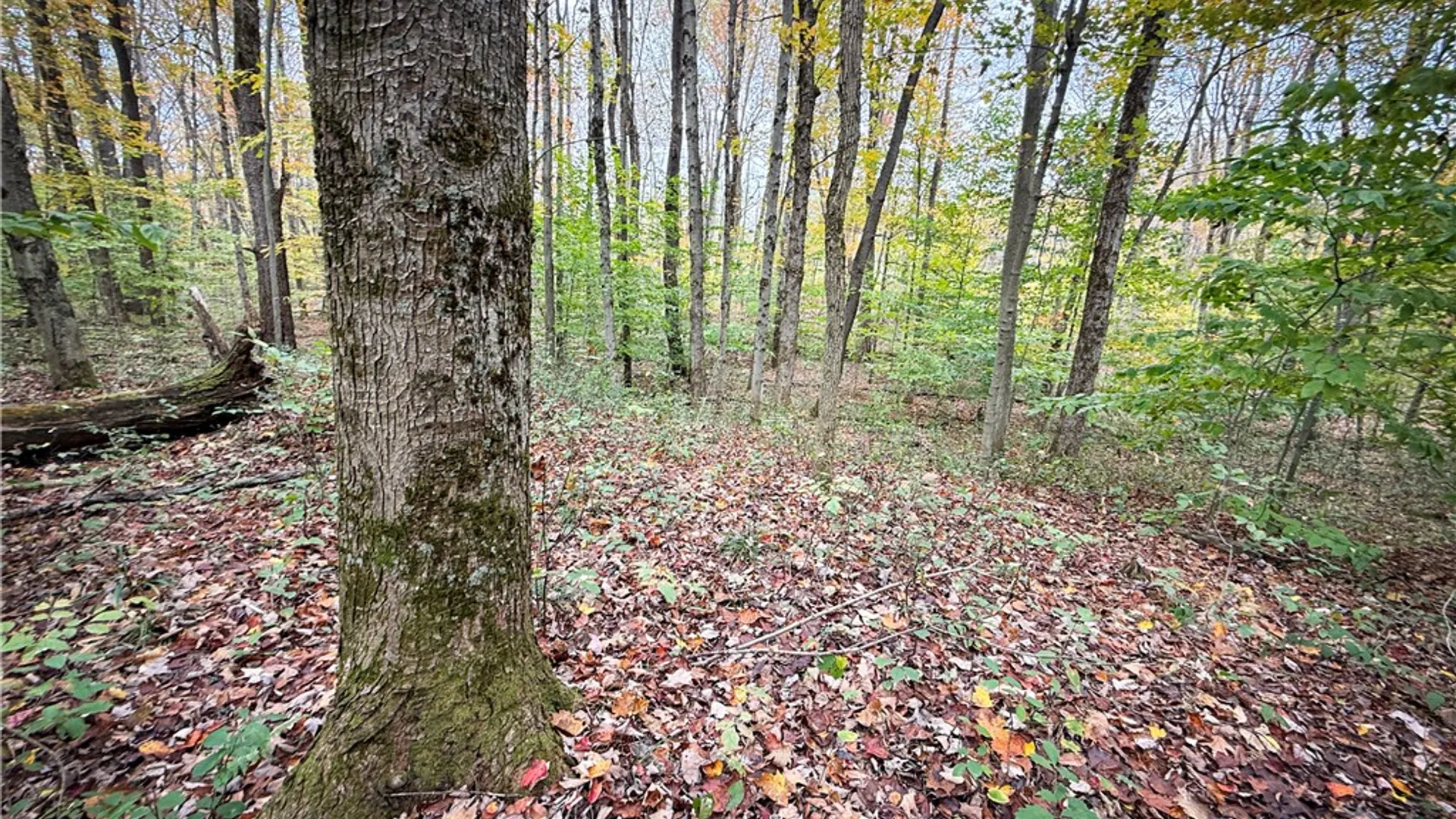 Property at 0 Trout Brook Drive, Orwell, NY 13144 37