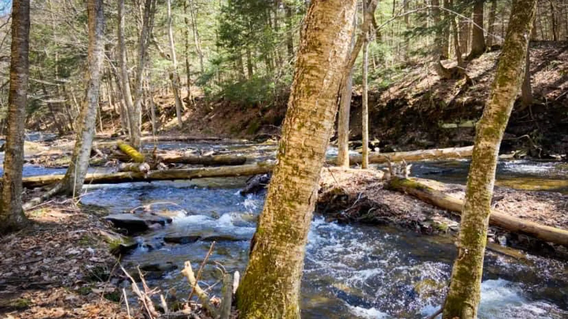 Property at 0 Trout Brook Drive, Orwell, NY 13144 39